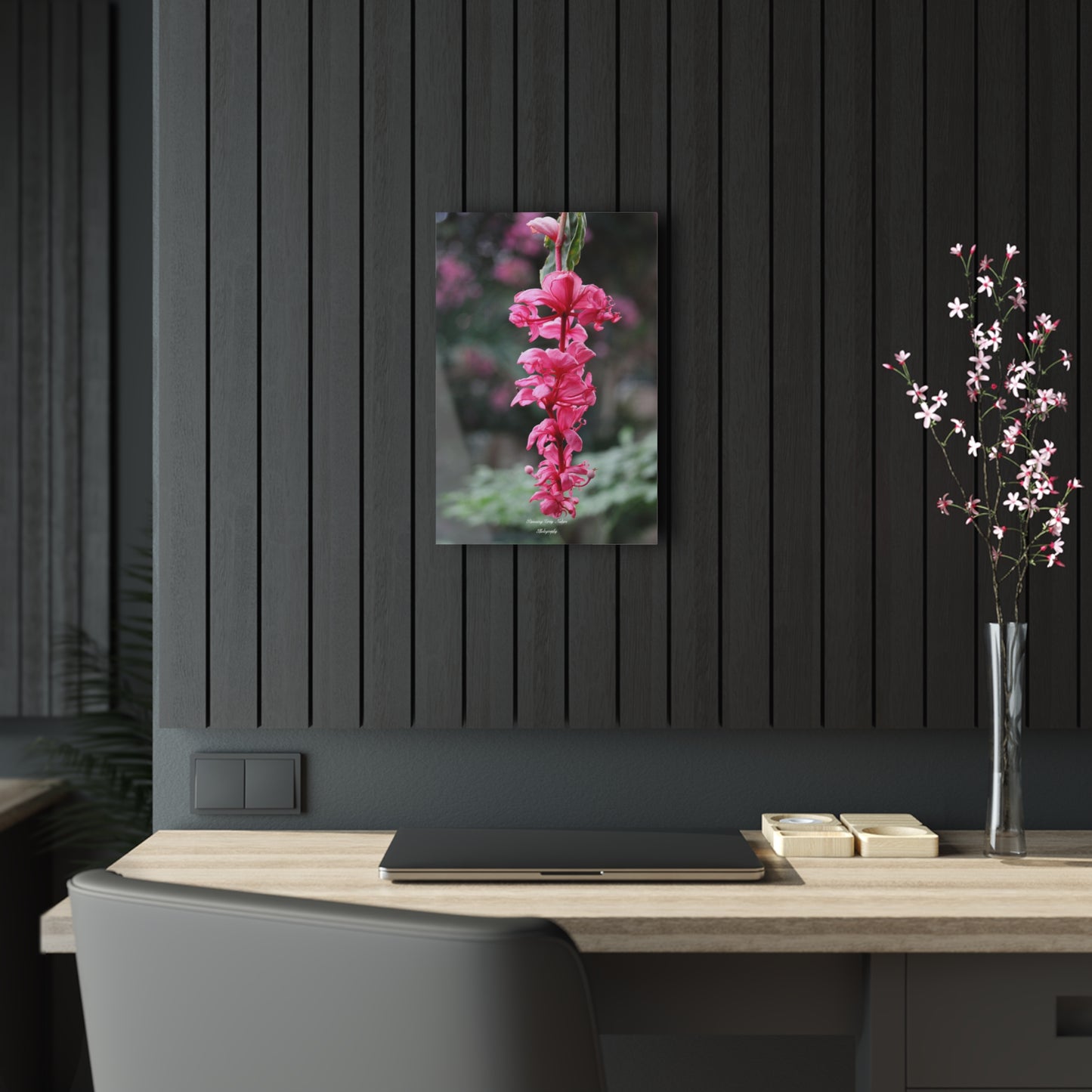 Showy Medinilla Acrylic Prints