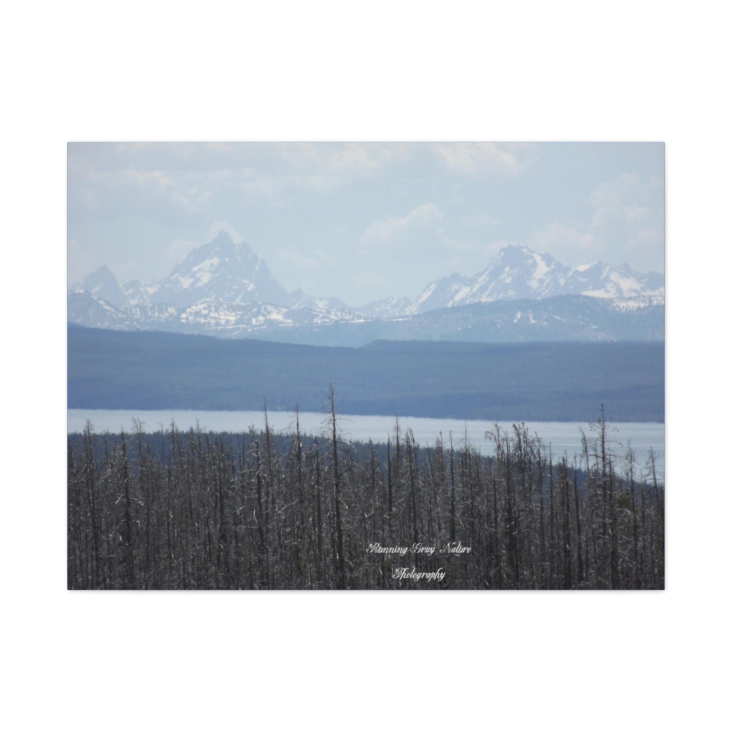 Teton Range Matte Canvas, Stretched, 1.25"