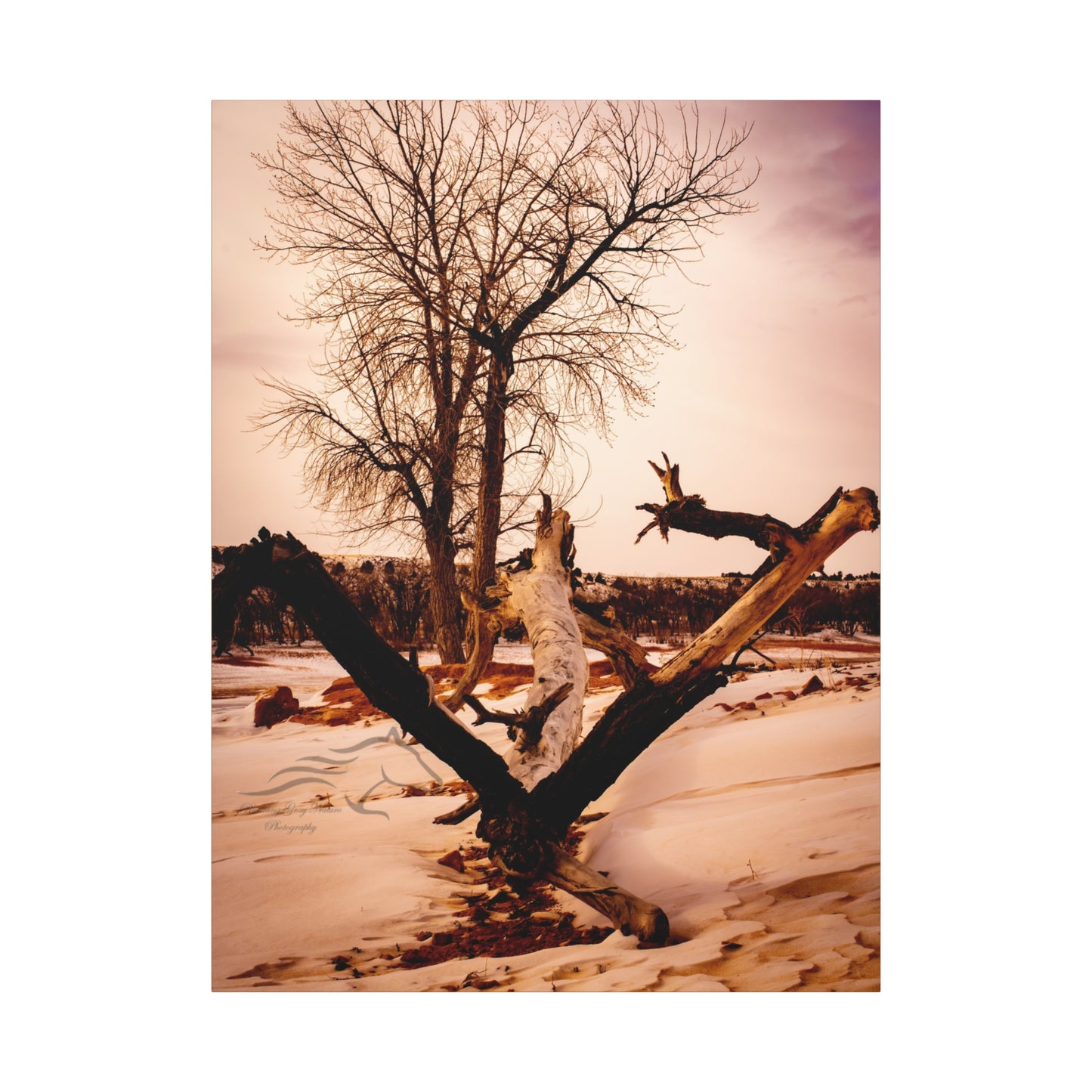 Rustic Landscape Canvas