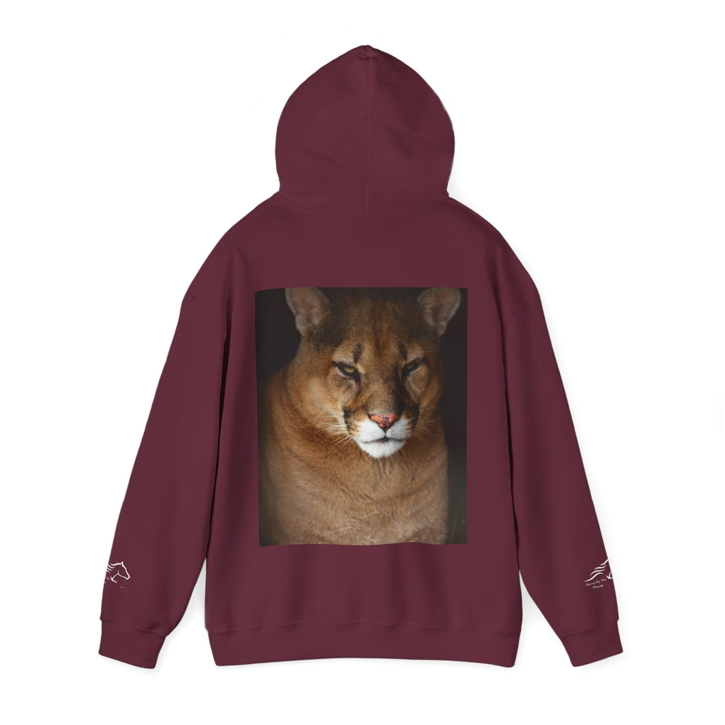 Big Cat Hoodie