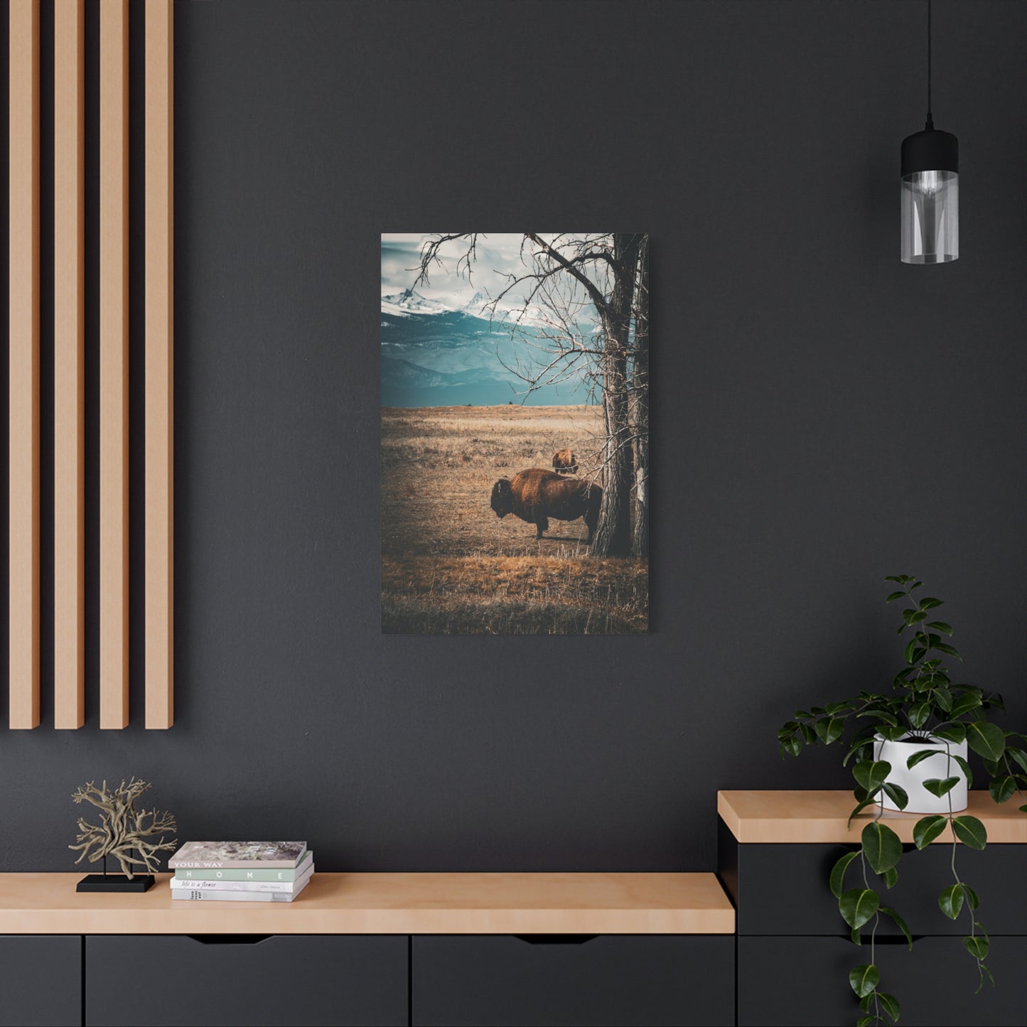 Rustic Bison Mountain Canvas