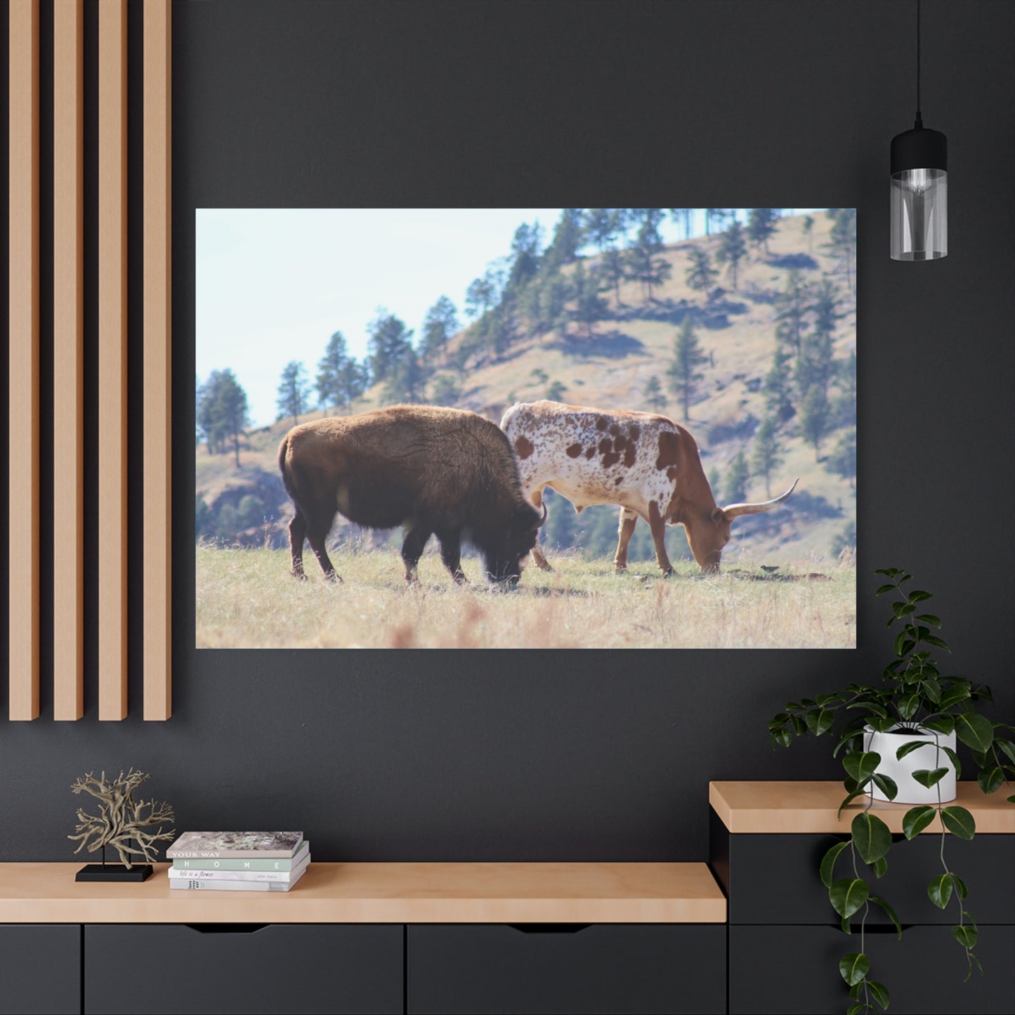 Long Horn and Buffalo Canvas