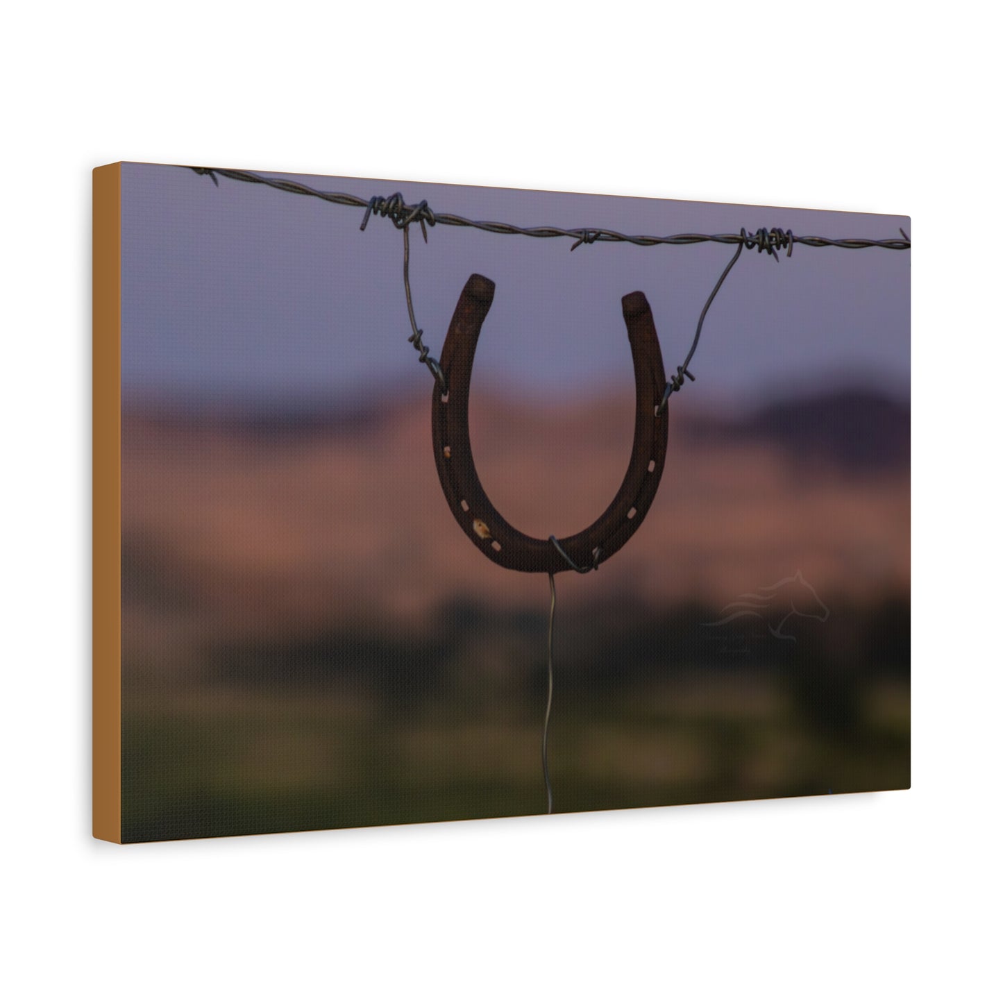 Rustic Horseshoe Canvas