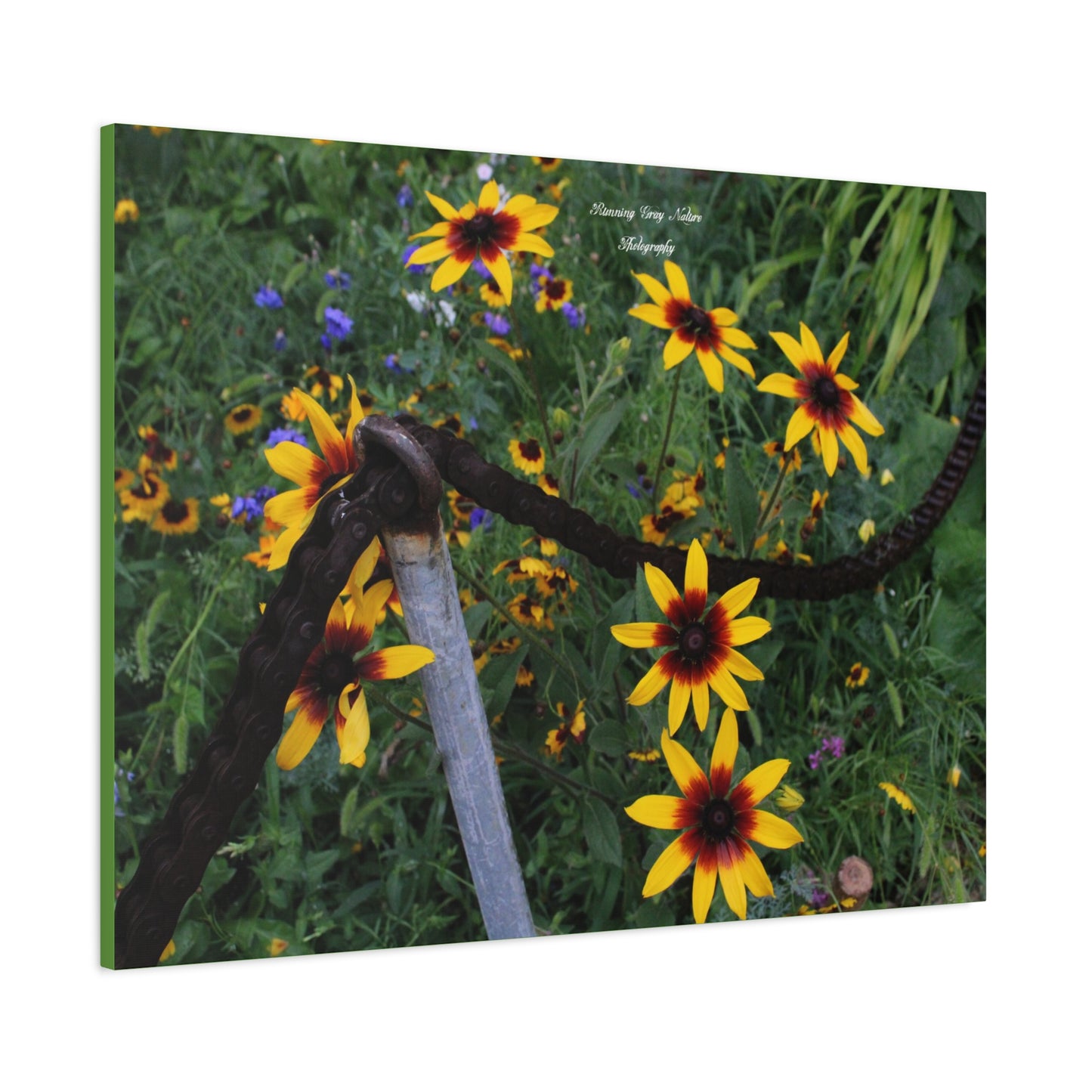 Red and Yellow Sunflowers Matte Canvas, Stretched, 1.25"