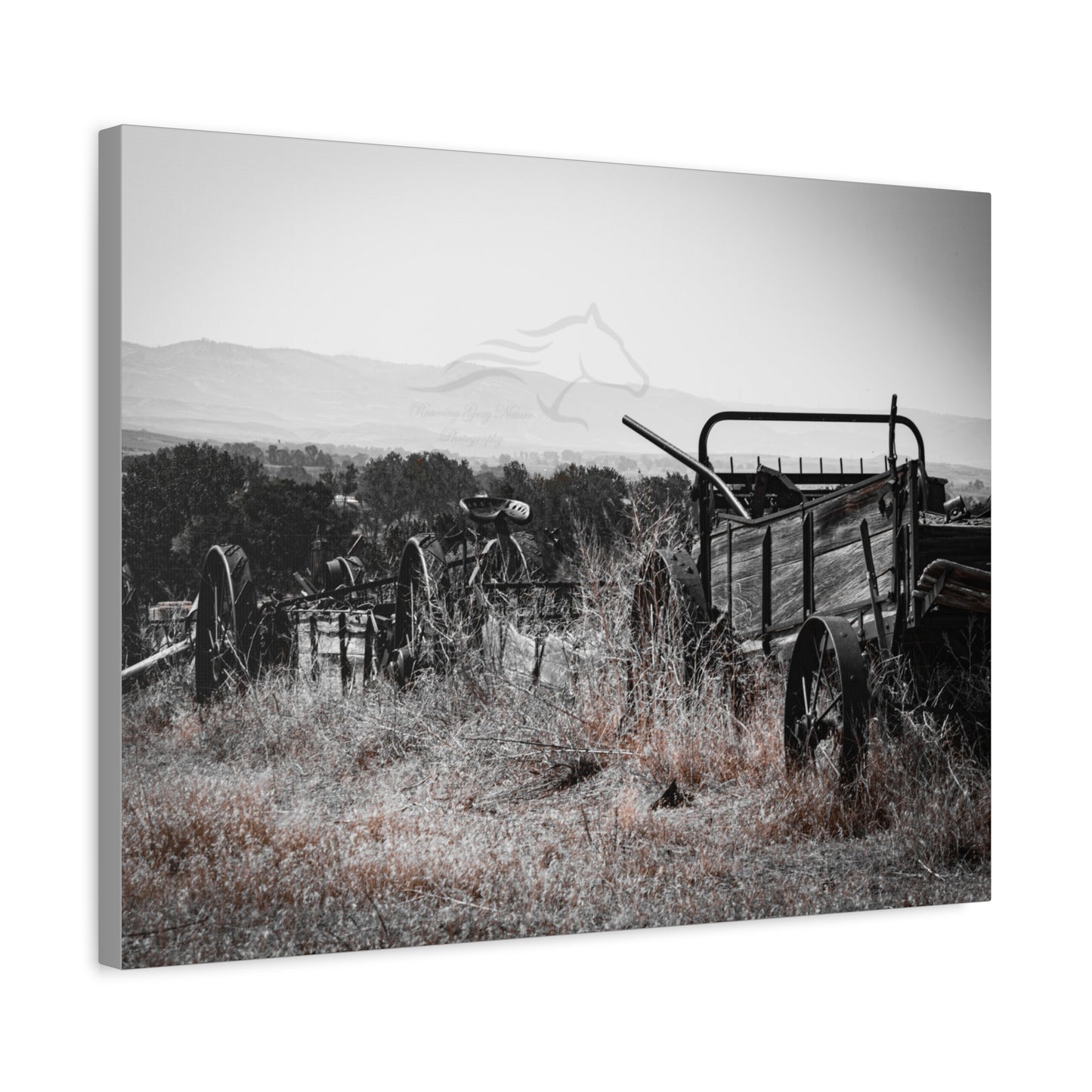 Rustic Black and White Wagon Canvas