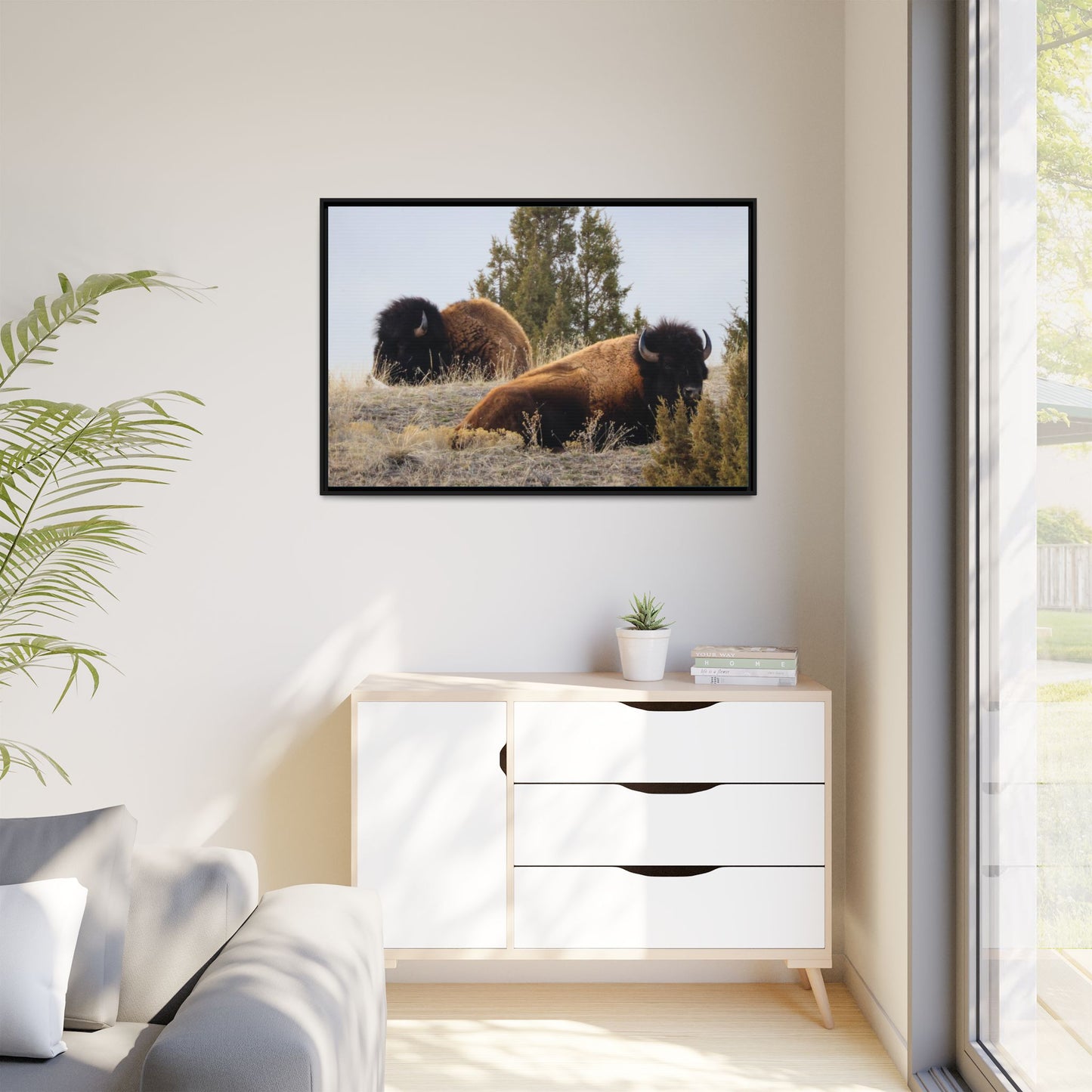 Two Bull Buffalo Framed Canvas
