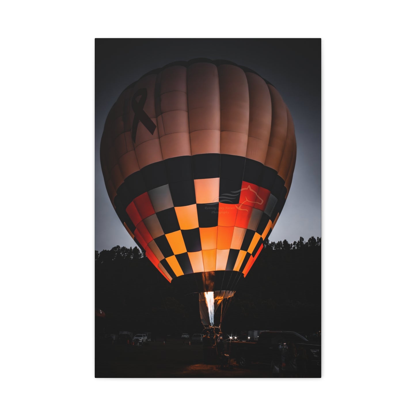 Hot Air Balloon Canvas