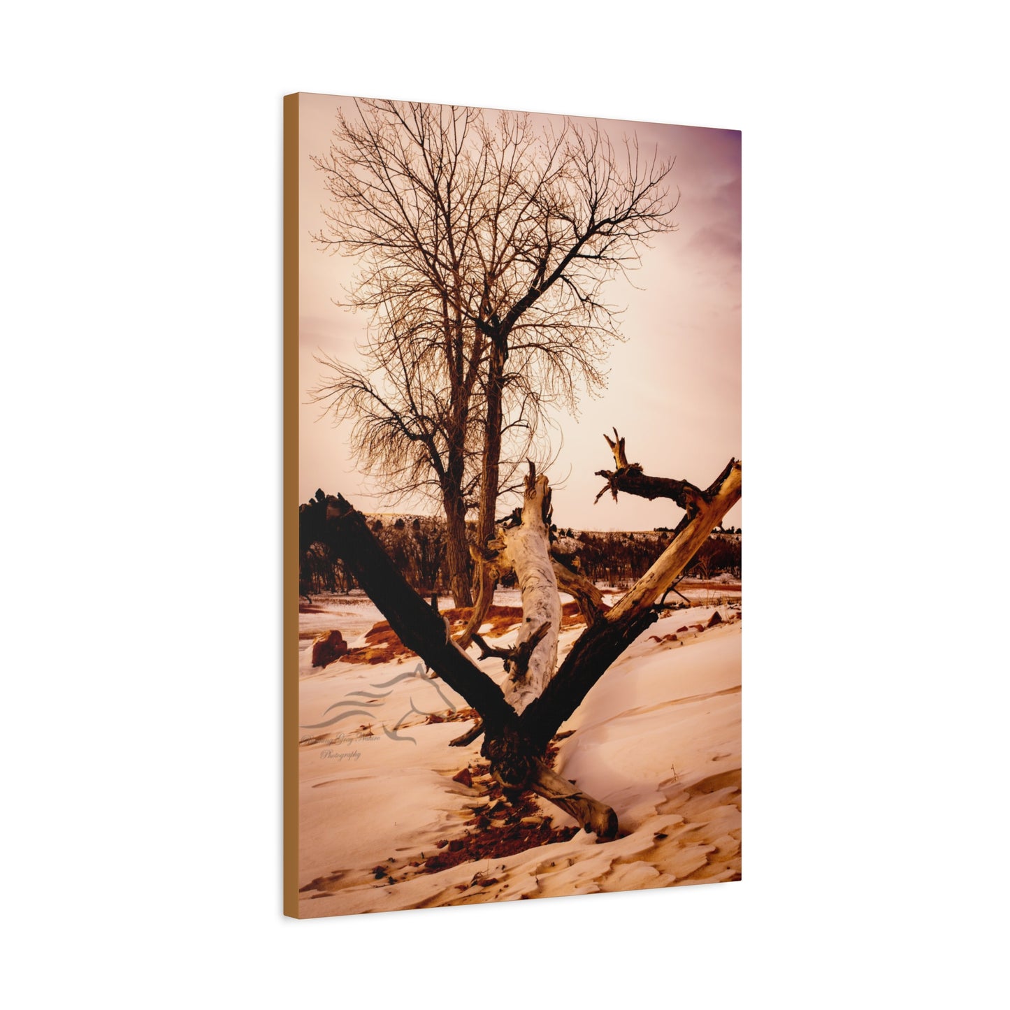 Rustic Landscape Canvas