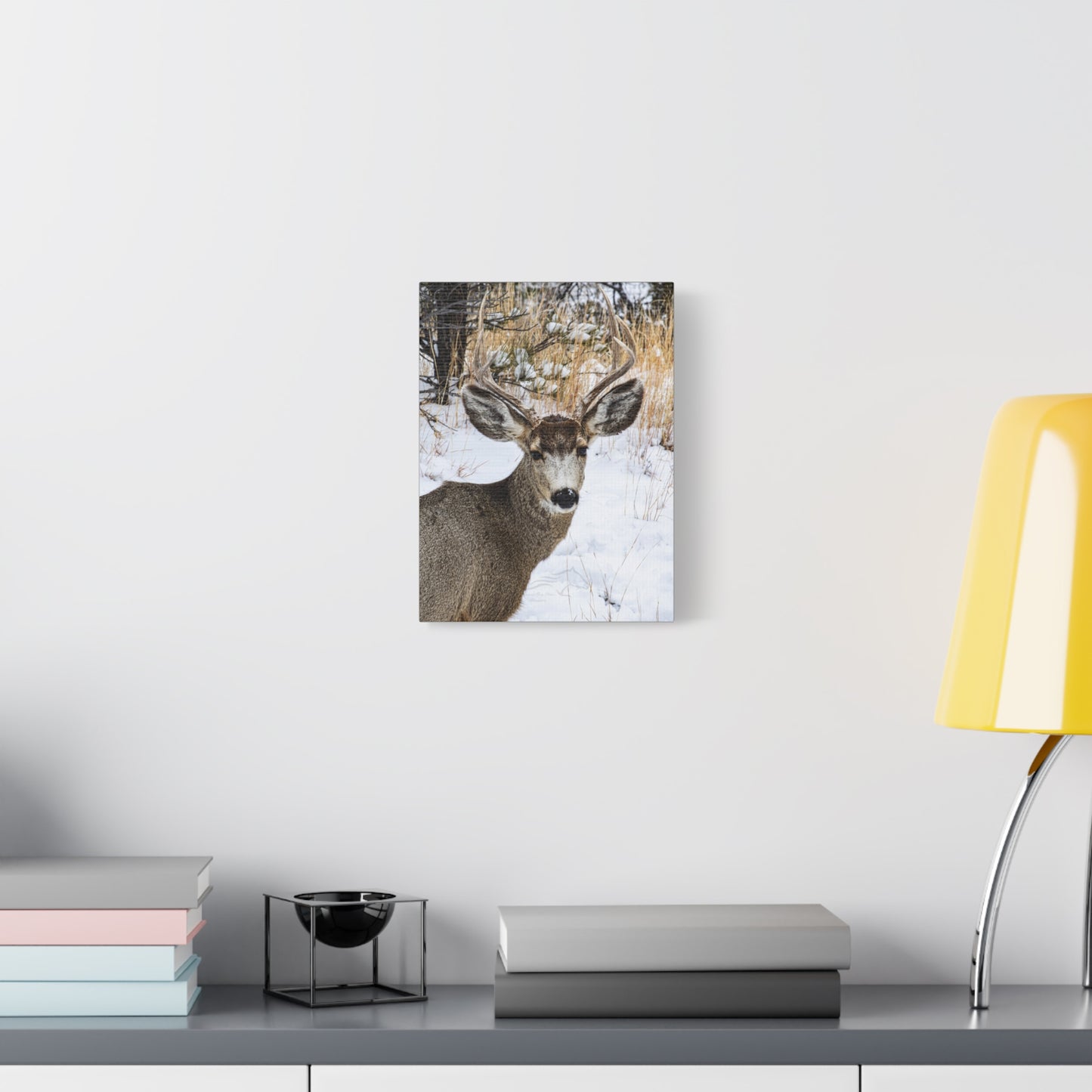 Deer Antlers in February Canvas