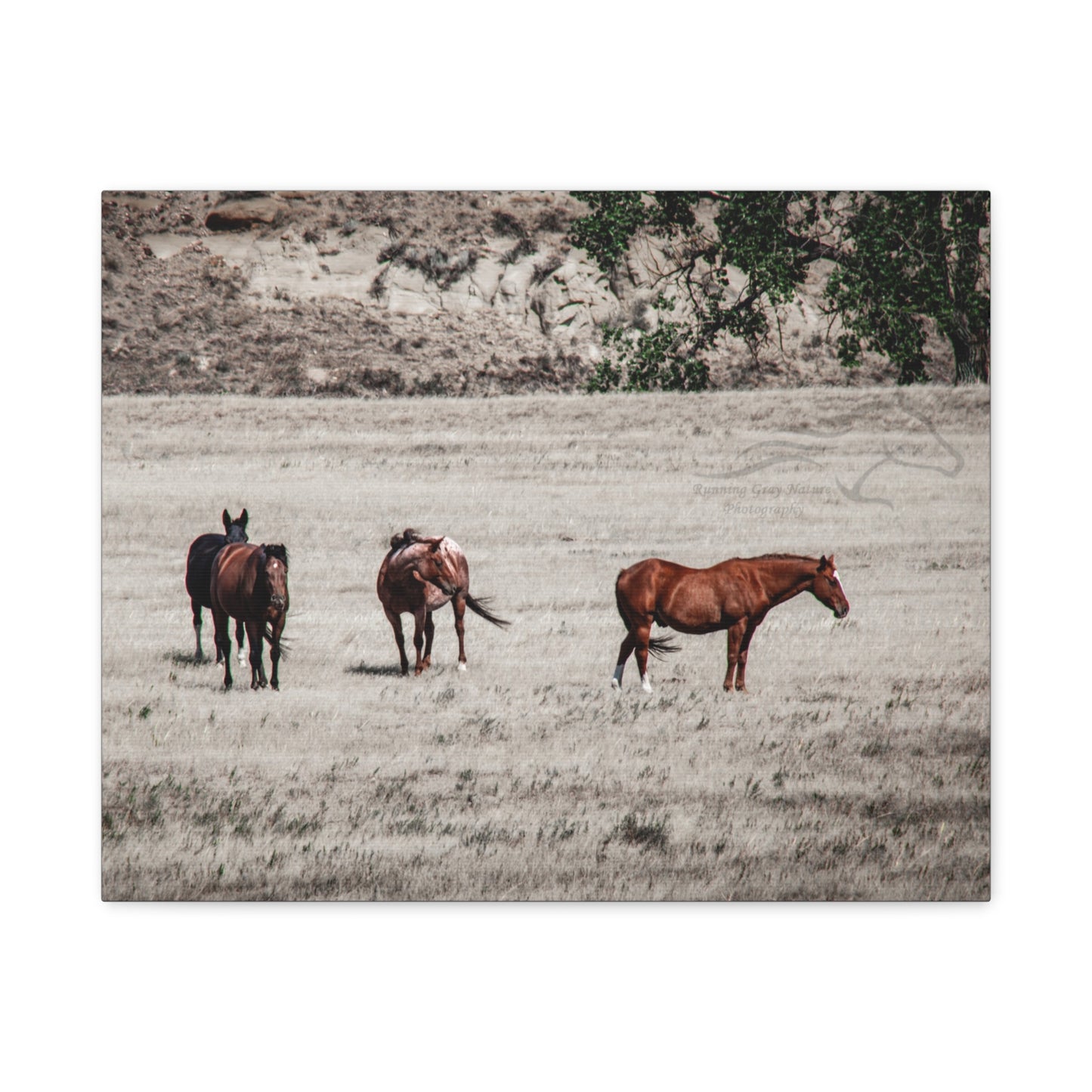 Not everything is Black and White