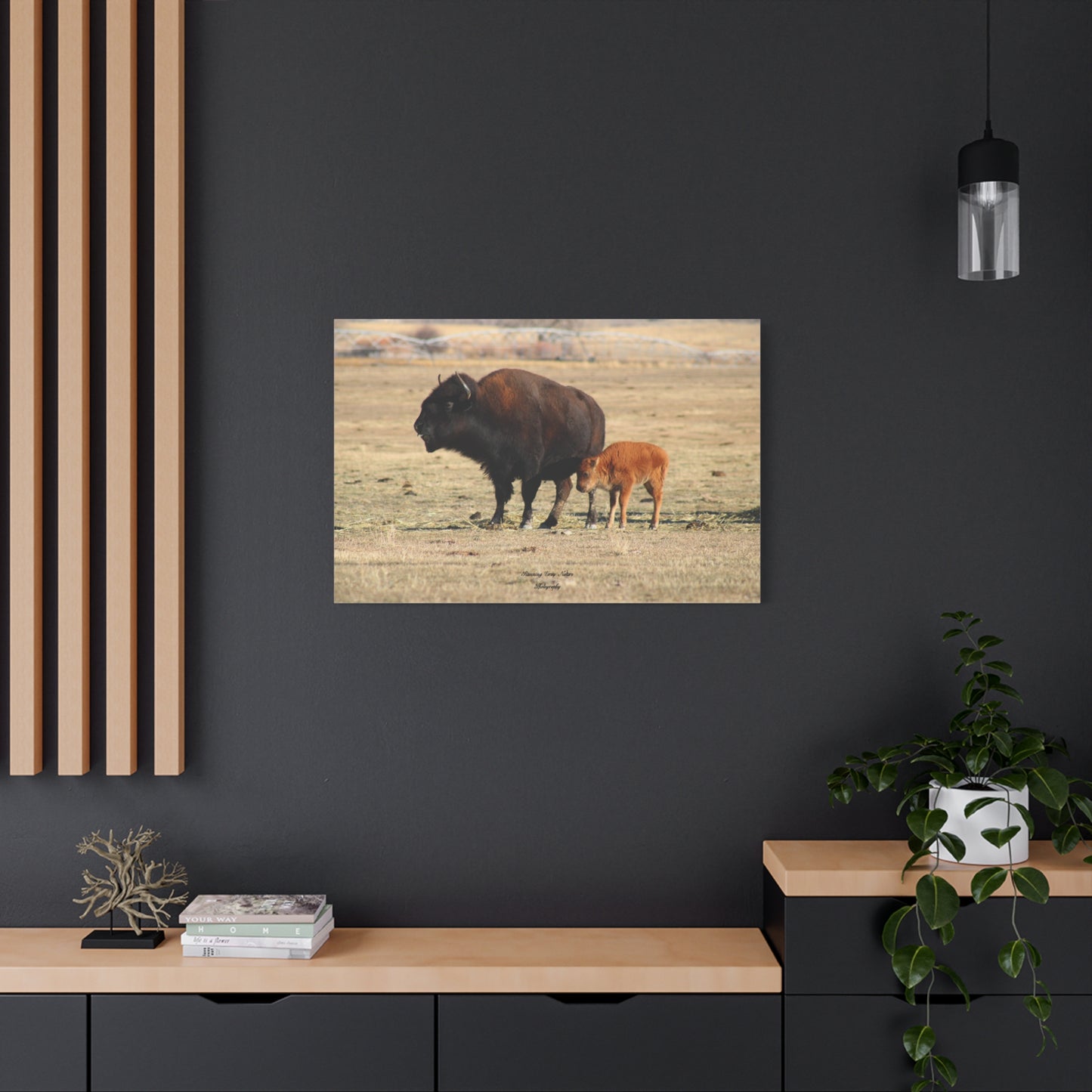 Momma and Baby Buffalo Matte Canvas, Stretched, 1.25"