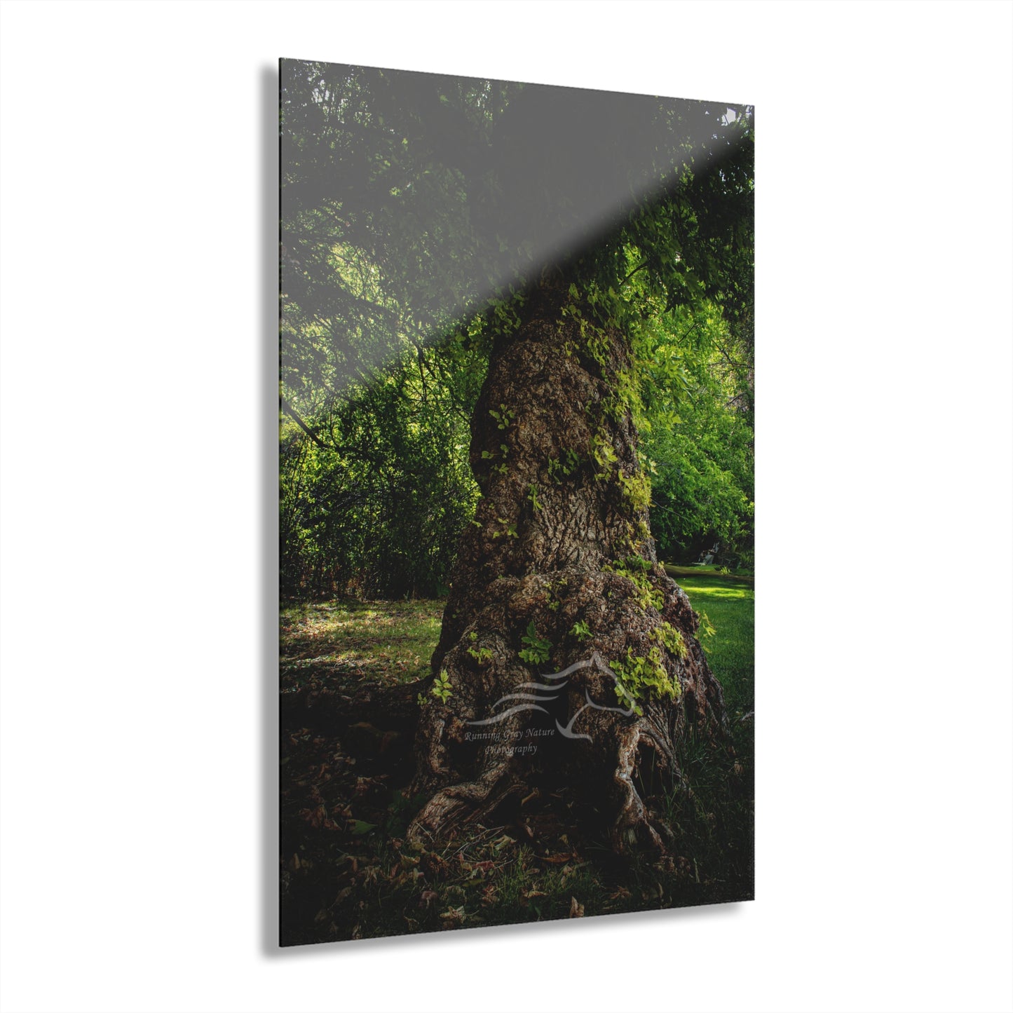 Natural Green Tree Acrylic