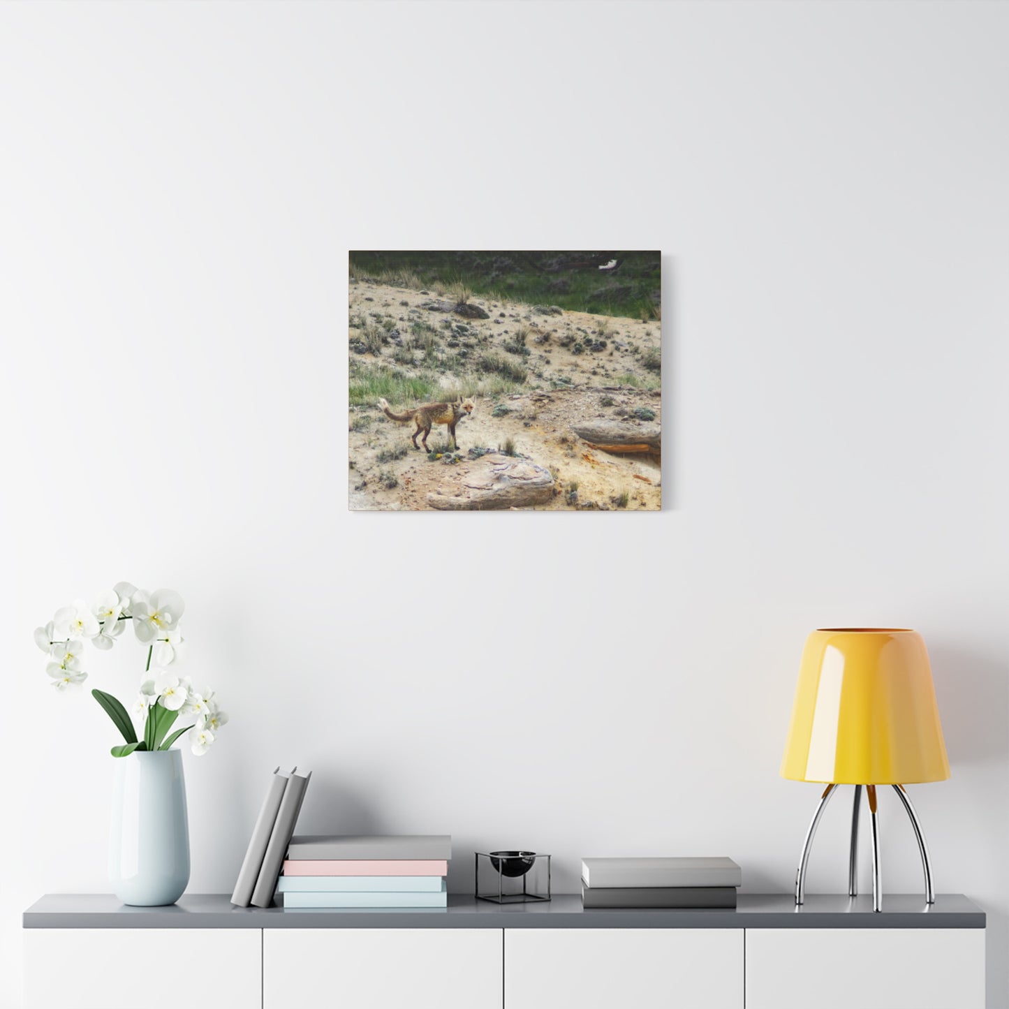 Swift fox and an Eagle