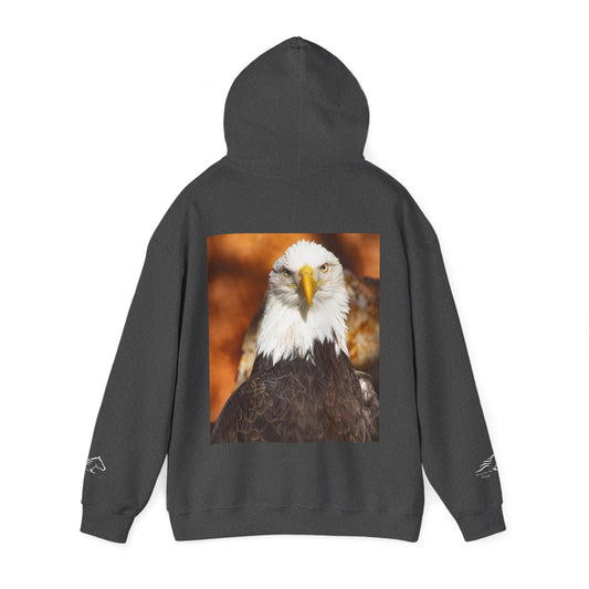 Bald Eagle Hoodie
