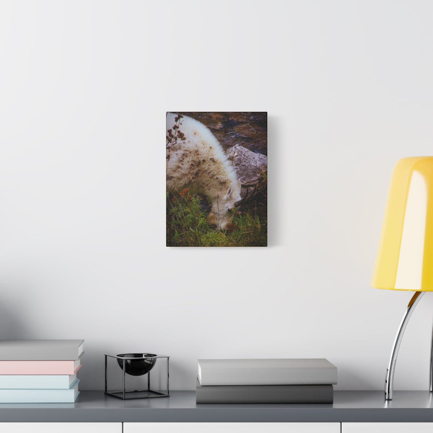 Mountain Goat Canvas