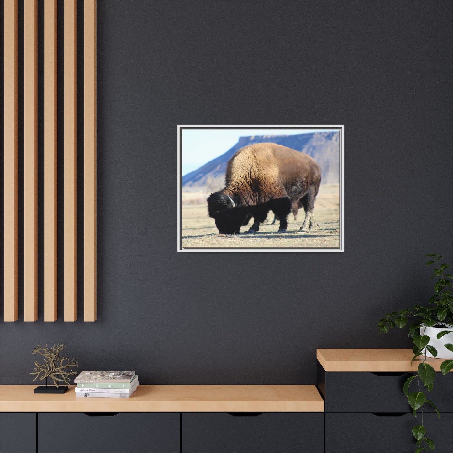 Big Daddy Buffalo Framed Canvas