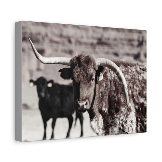 Rustic Longhorn Canvas