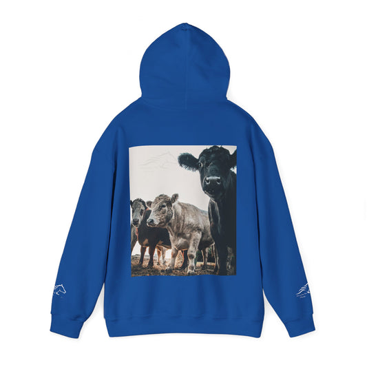 Cow Photo Hoodie