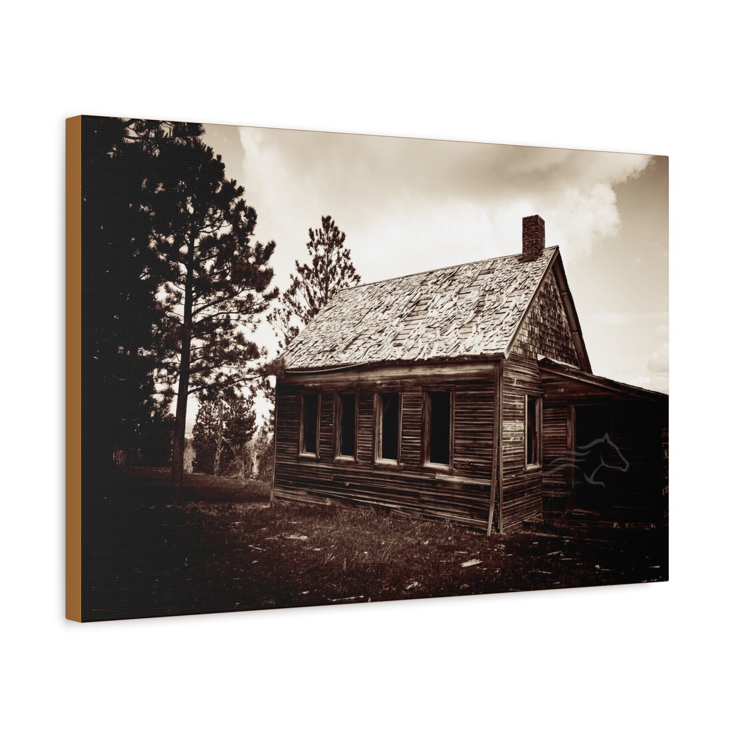 Rustic Bunk House Canvas