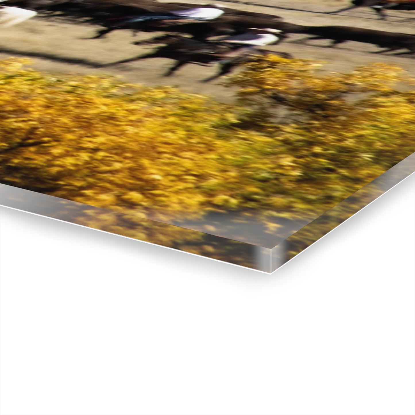 Cowboys and Buffalo Acrylic