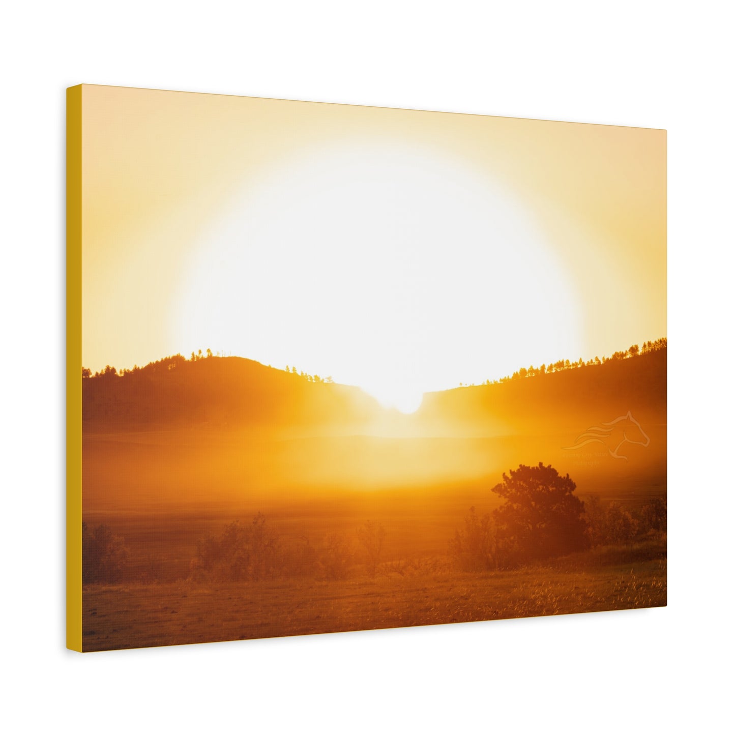Buffalo Round Up Sunrise Canvas