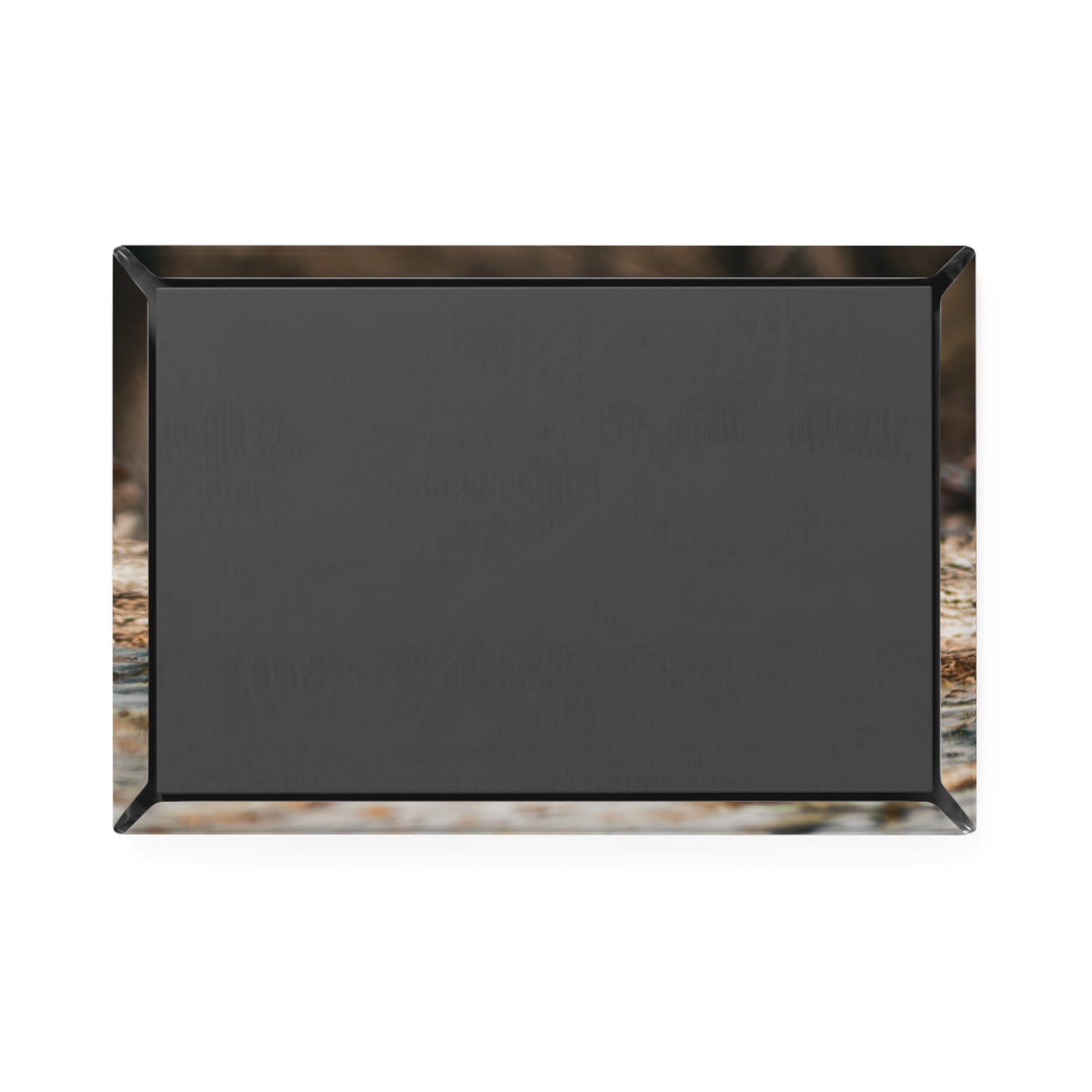 Nature-Inspired Duck Magnet