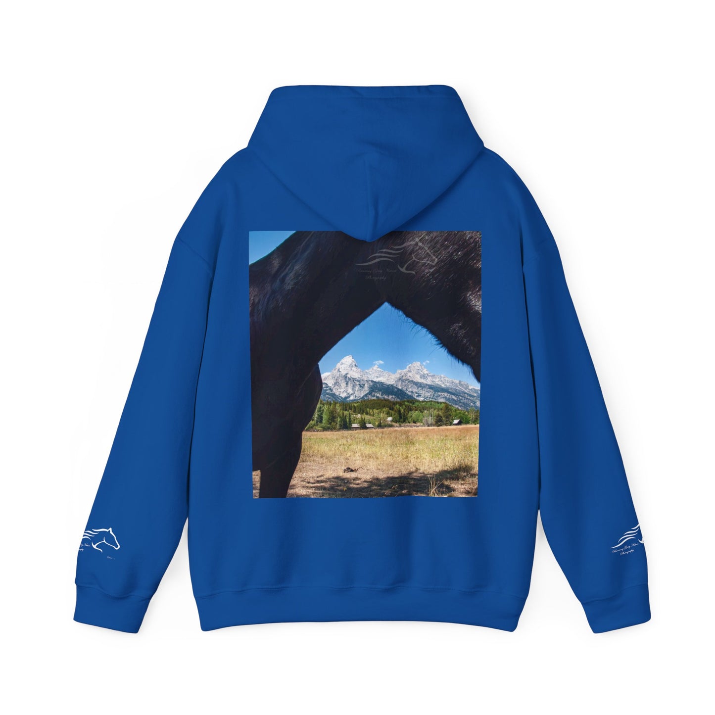 Mountain View Hoodie