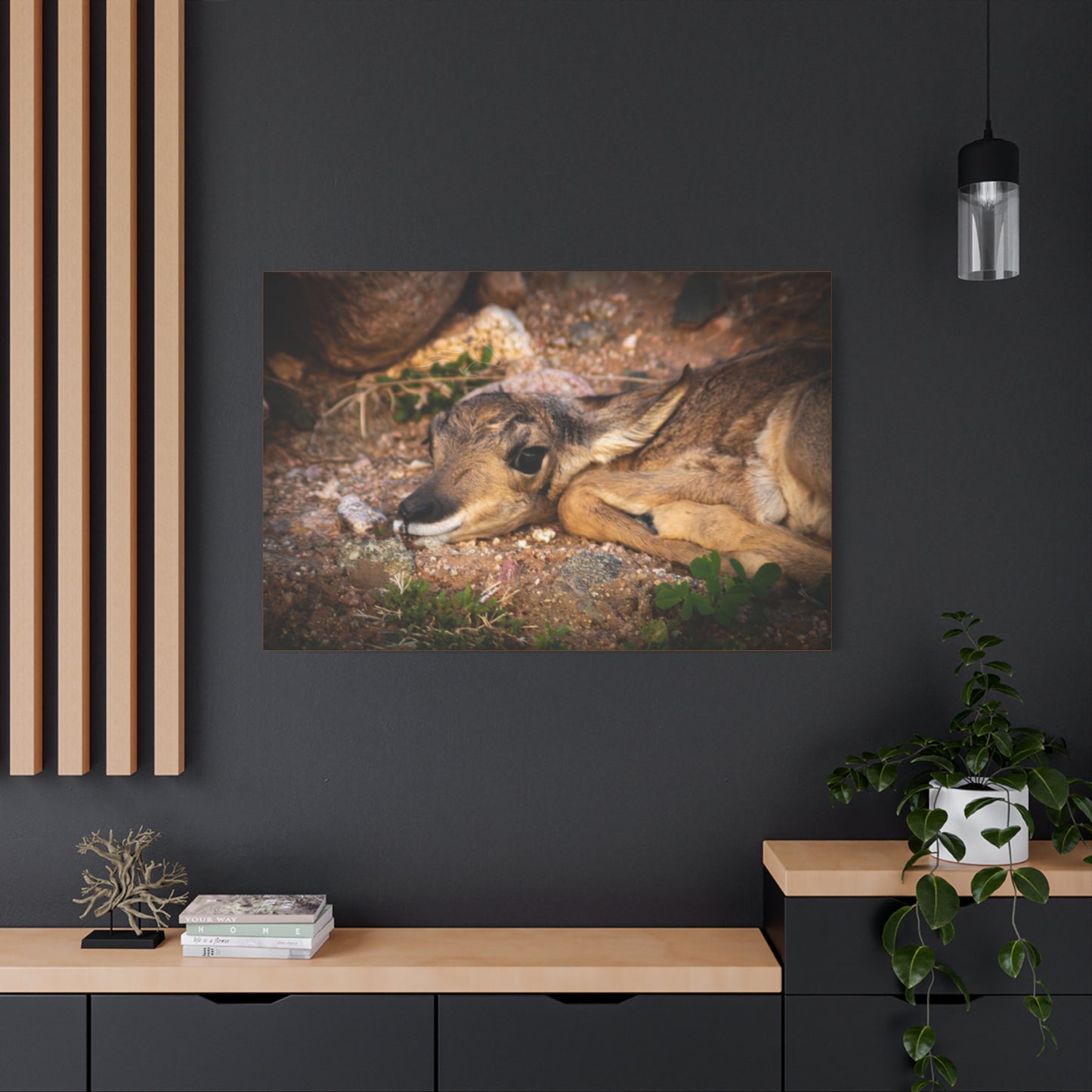 Baby Antelope Canvas