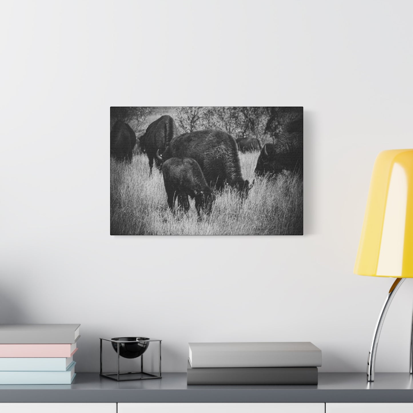 Black and White Buffalo Canvas