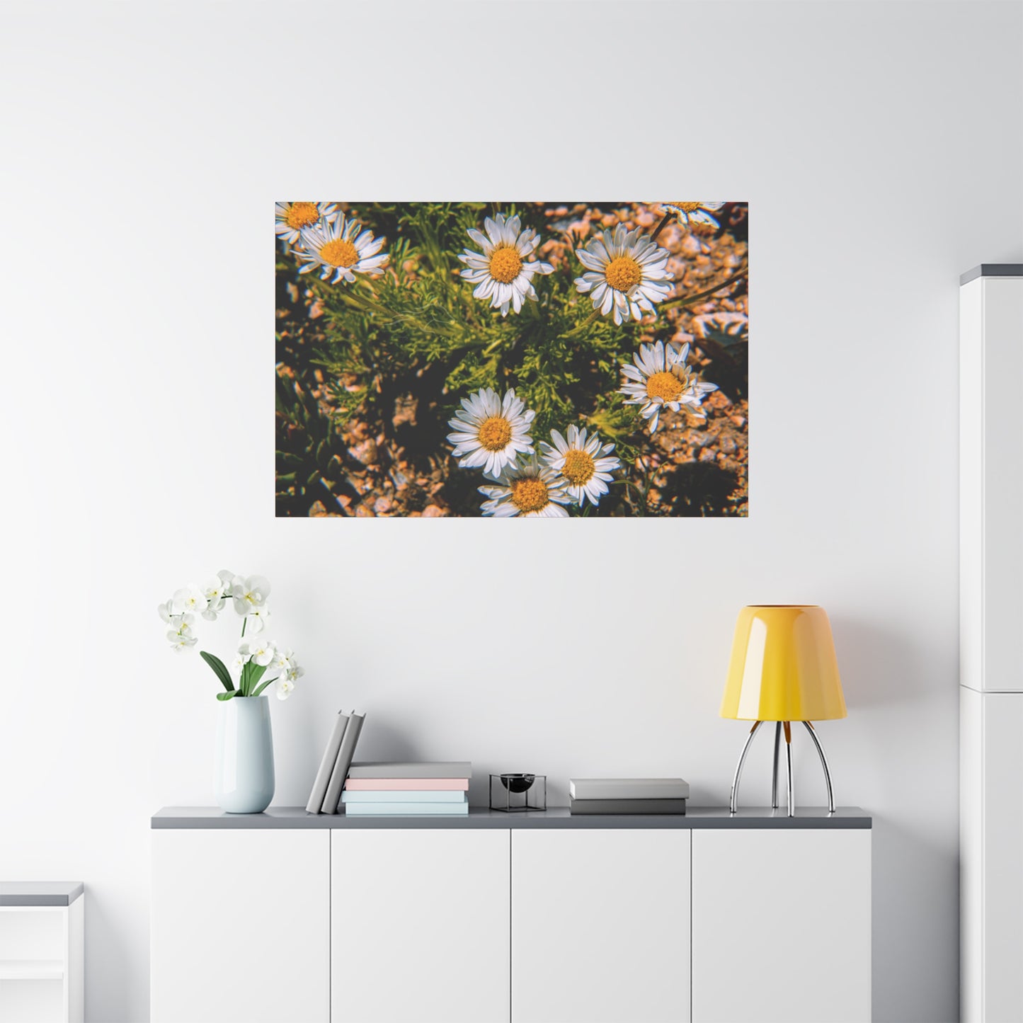 Wild Daisy Canvas