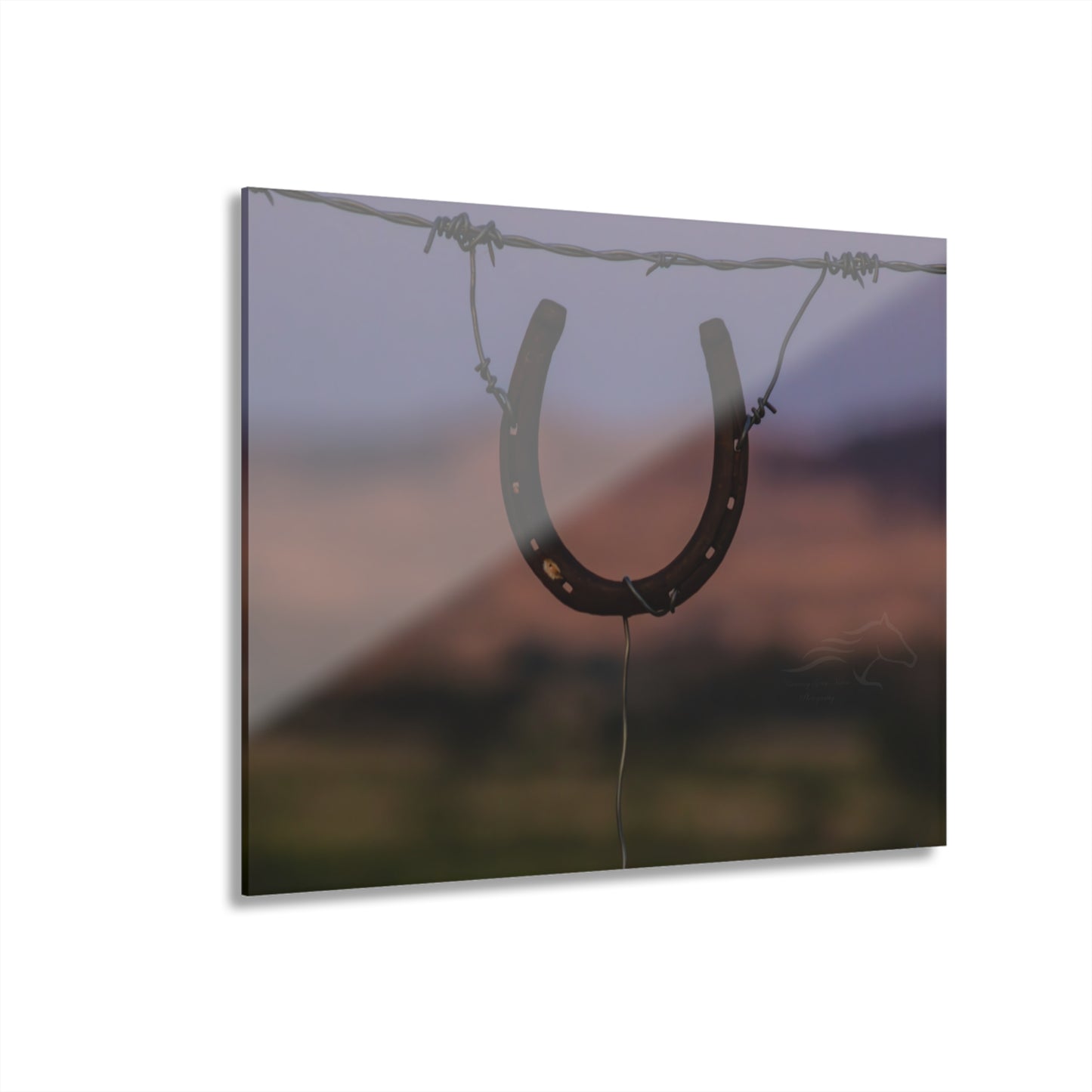 Rustic Horseshoe Acrylic