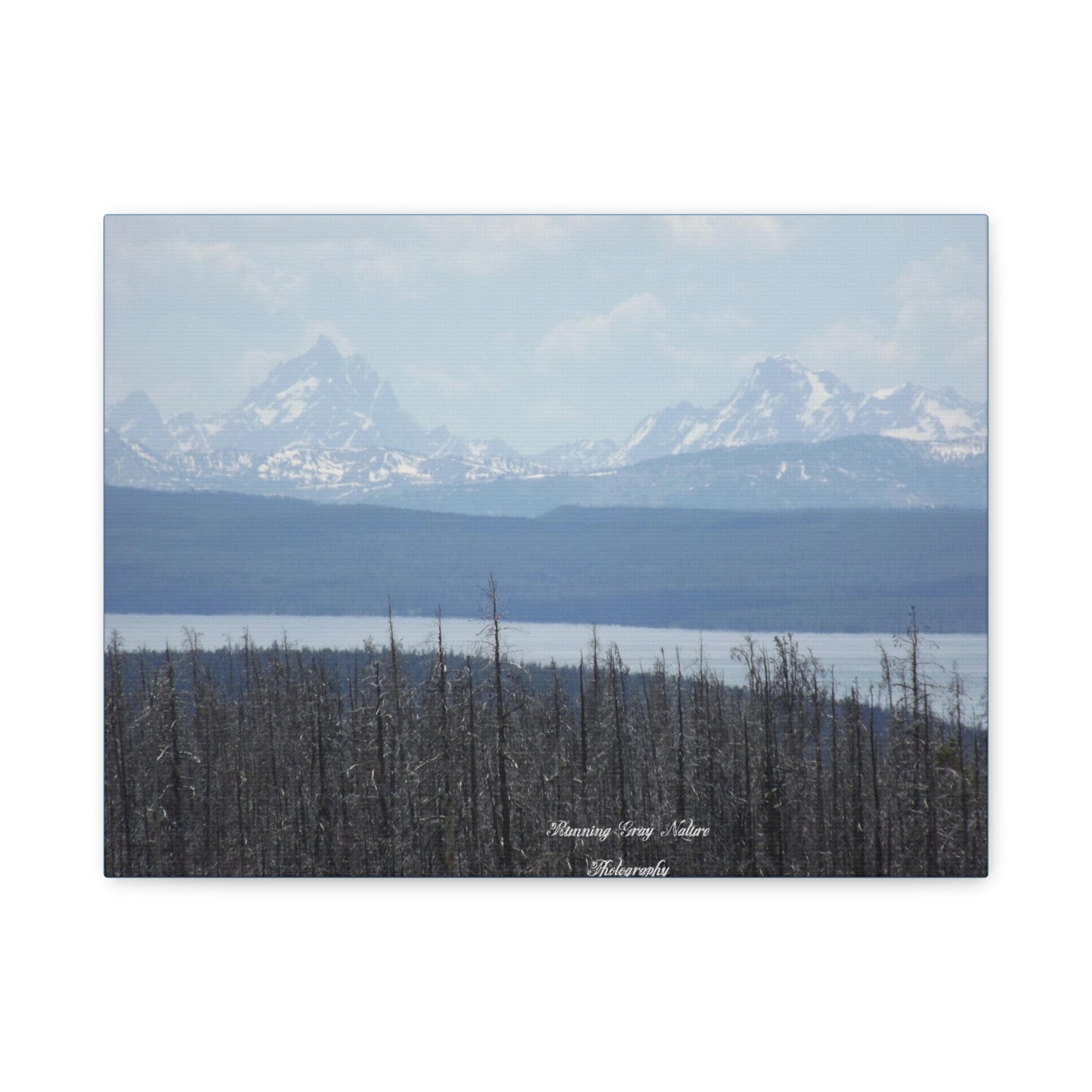 Teton Range Matte Canvas, Stretched, 1.25"