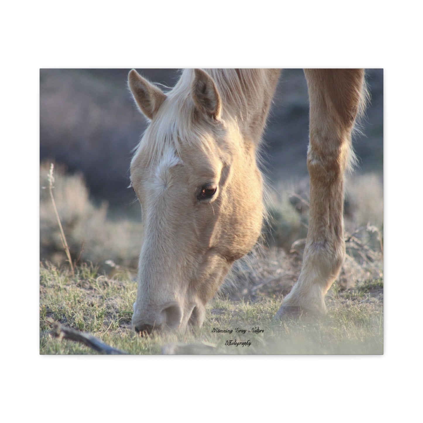 Beautiful Blonde Matte Canvas, Stretched, 1.25"