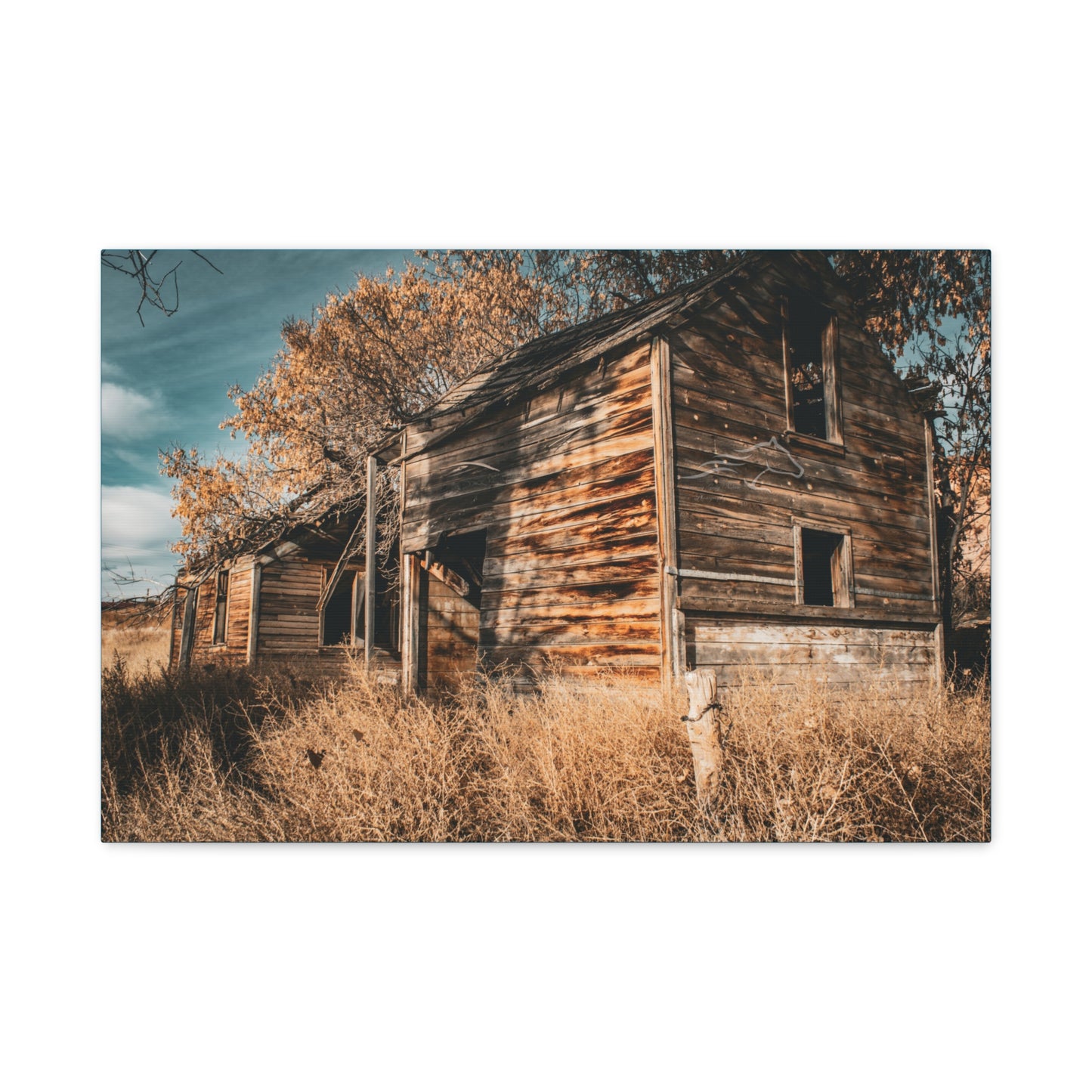 Vintage Cottage Canvas