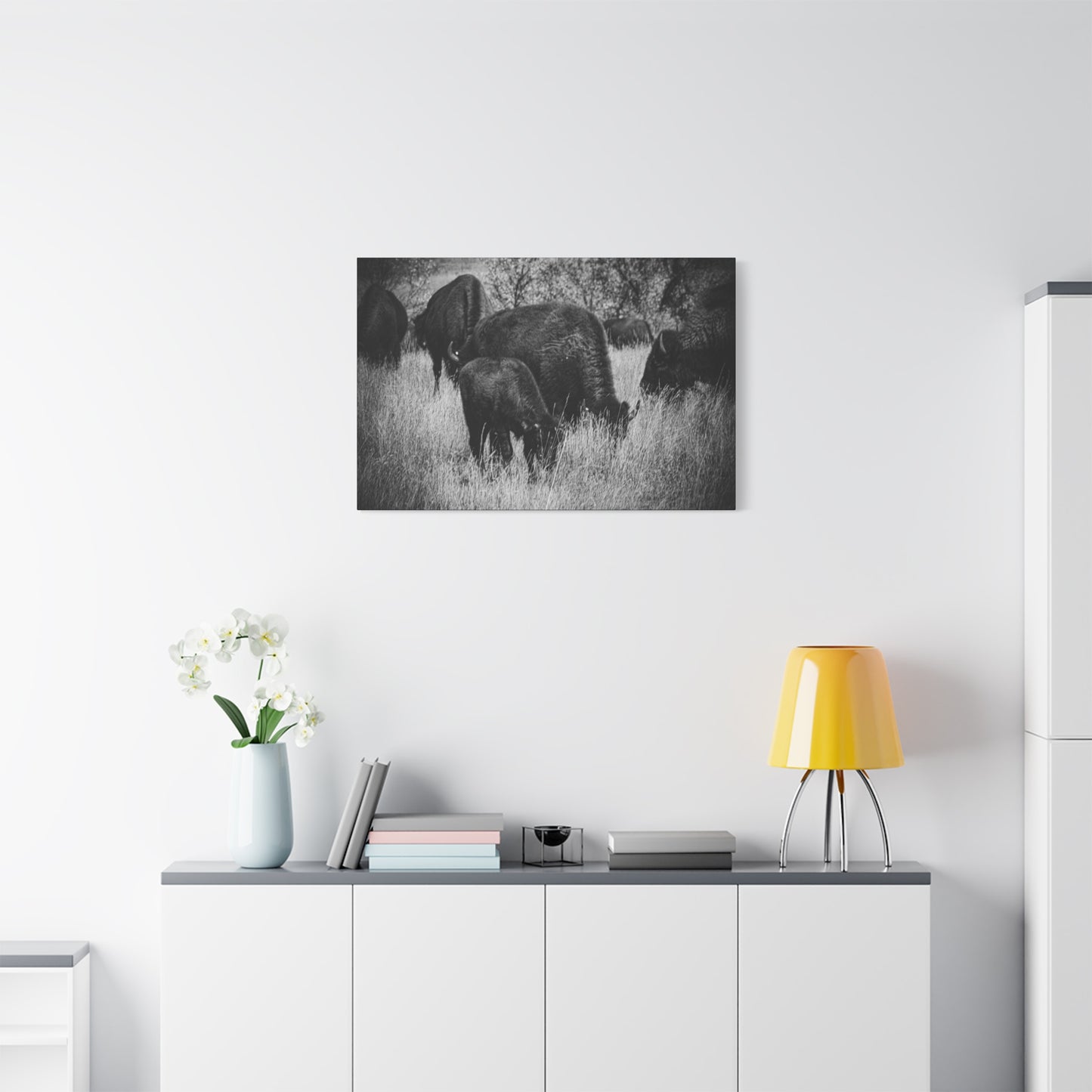 Black and White Buffalo Canvas