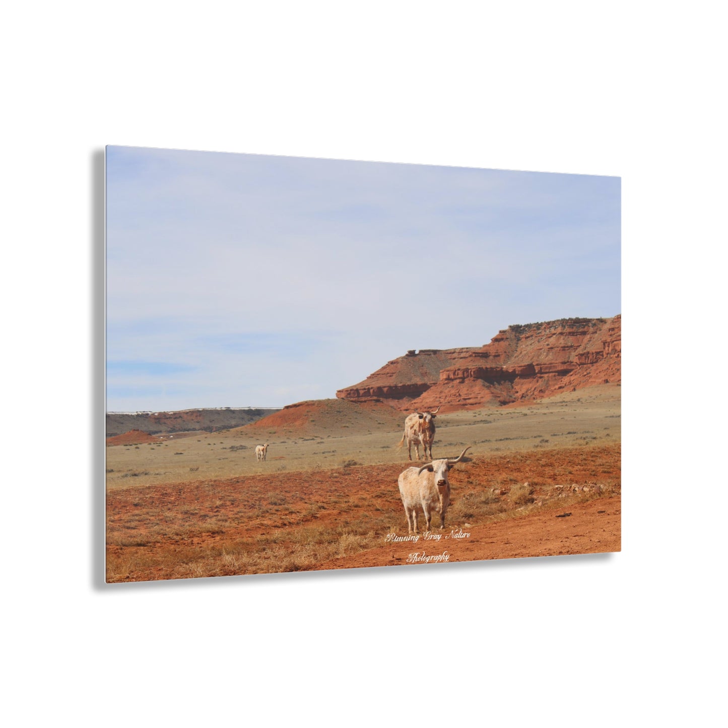 Mismatch Long Horn Hole in the Wall, WY Acrylic Prints