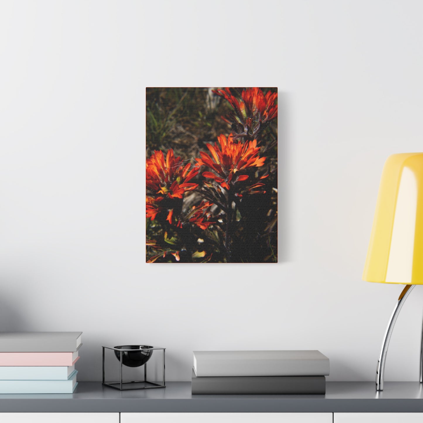 Indian Paint Brush Canvas