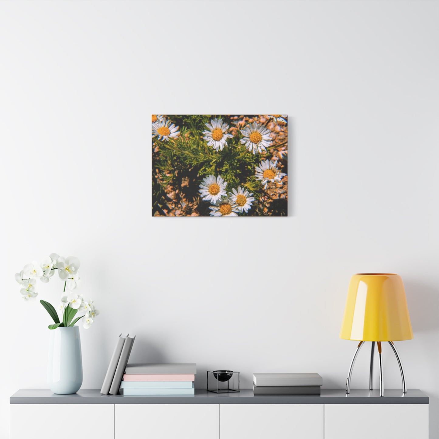 Wild Daisy Canvas