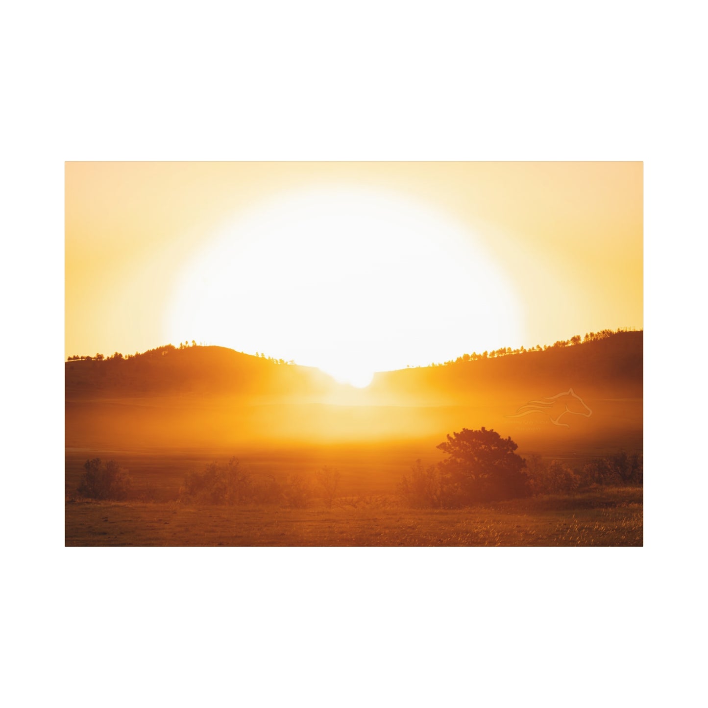 Buffalo Round Up Sunrise Canvas