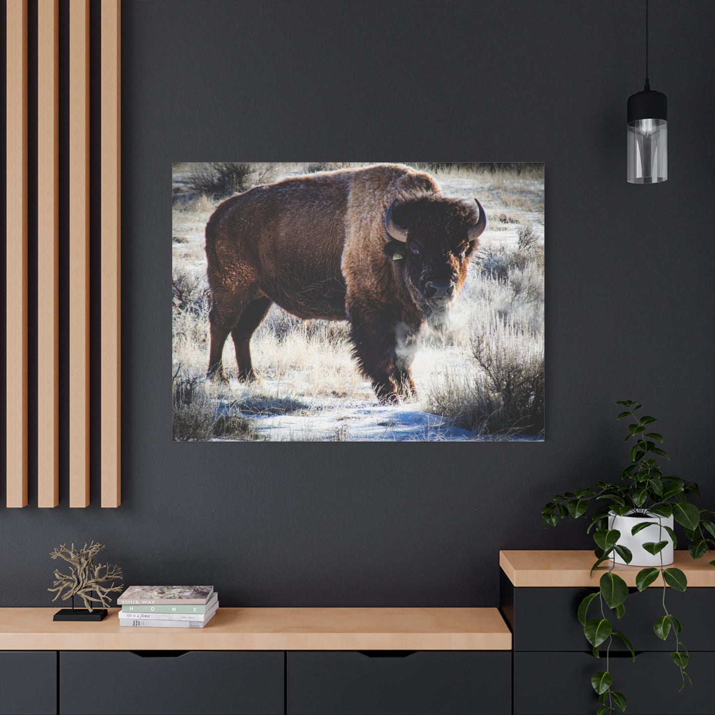 Early Morning Buffalo Canvas