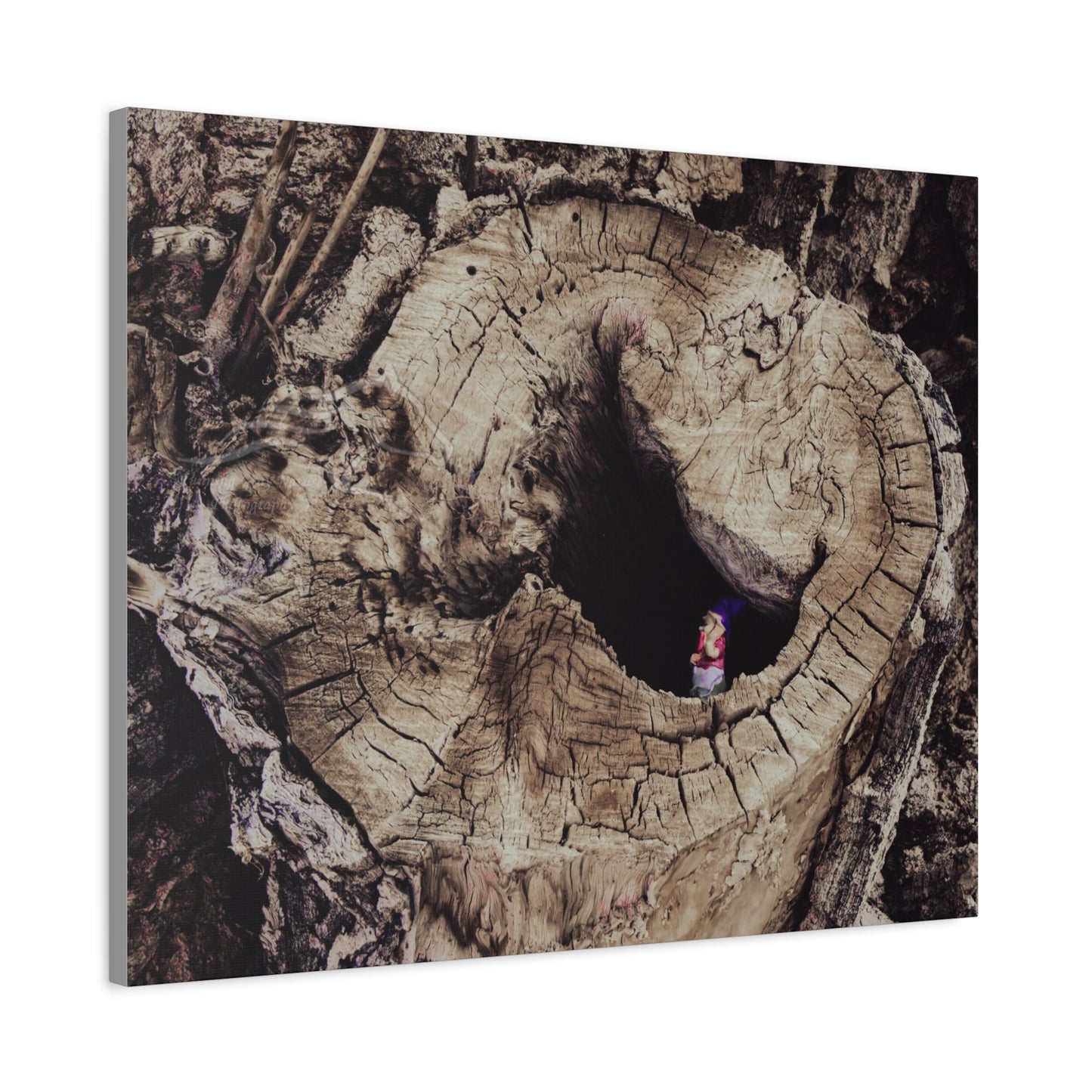 Fairy in a Tree Canvas