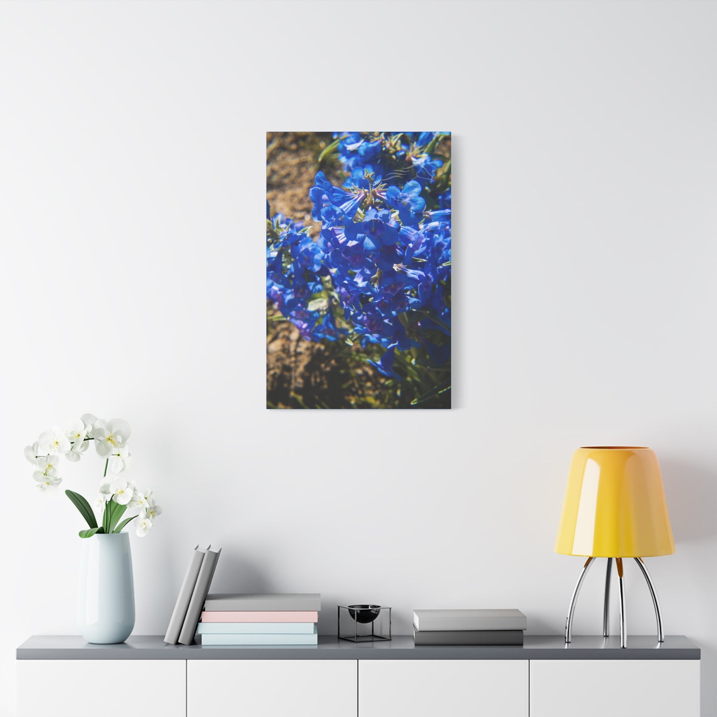 Rocky Mountain Beardtongue Canvas