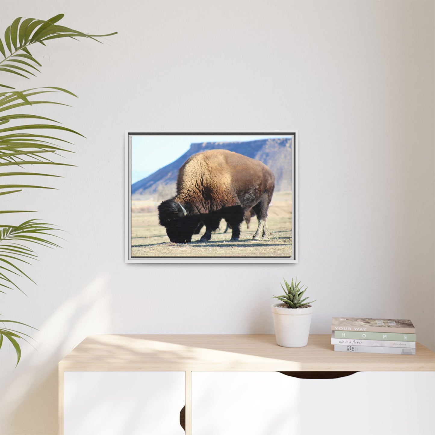 Big Daddy Buffalo Framed Canvas