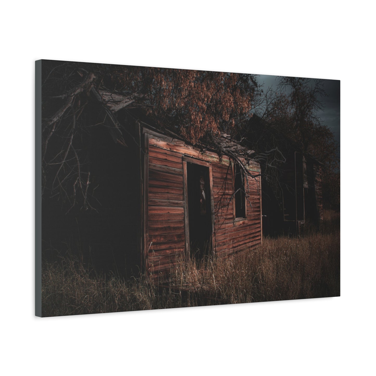 Haunting Rustic Canvas