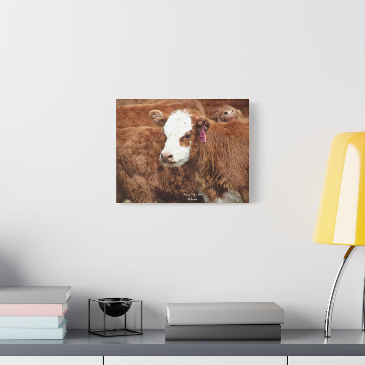 Red, White-Faced Calf Matte Canvas, Stretched, 1.25"