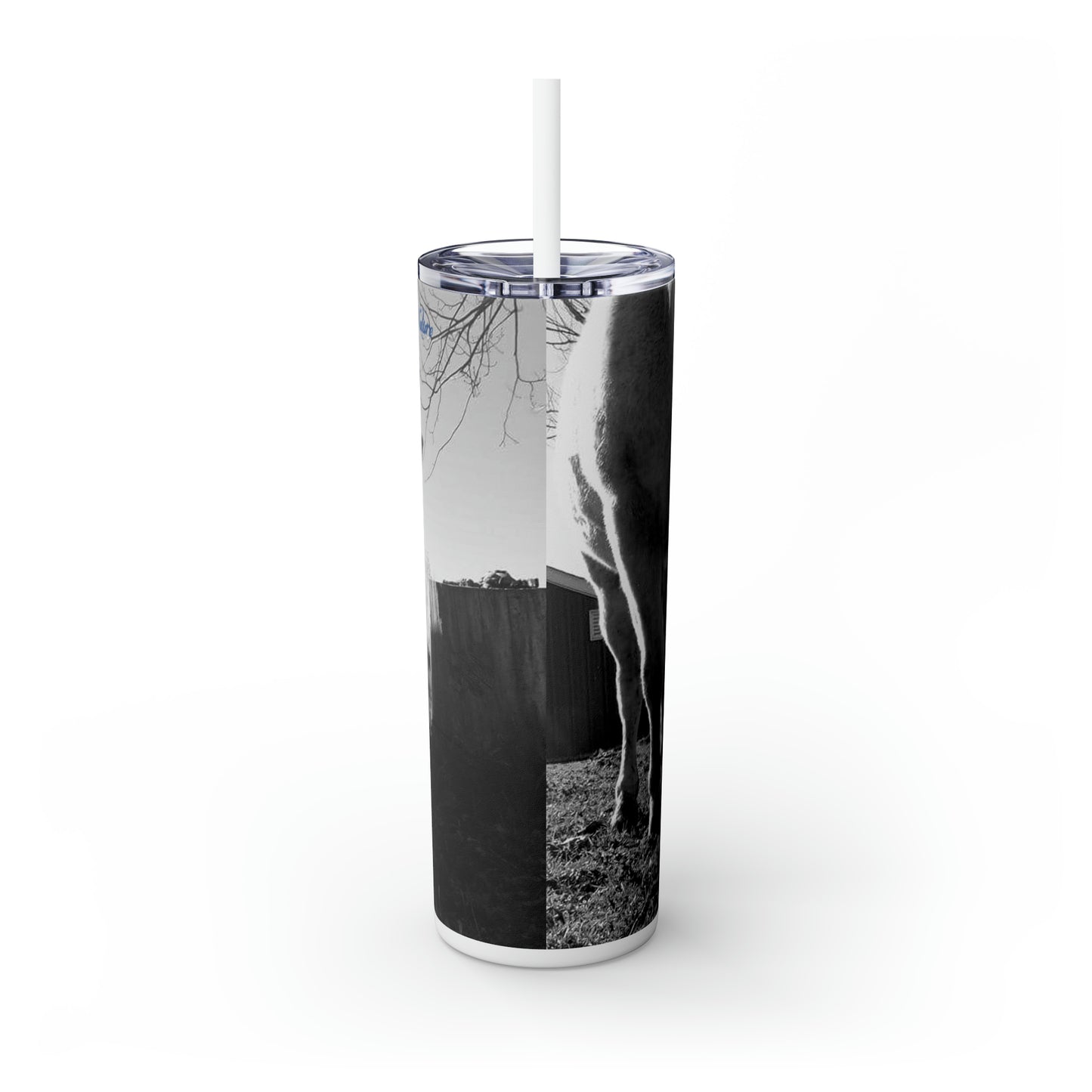 Running Gray Nature Photography Merch Skinny Tumbler with Straw, 20oz