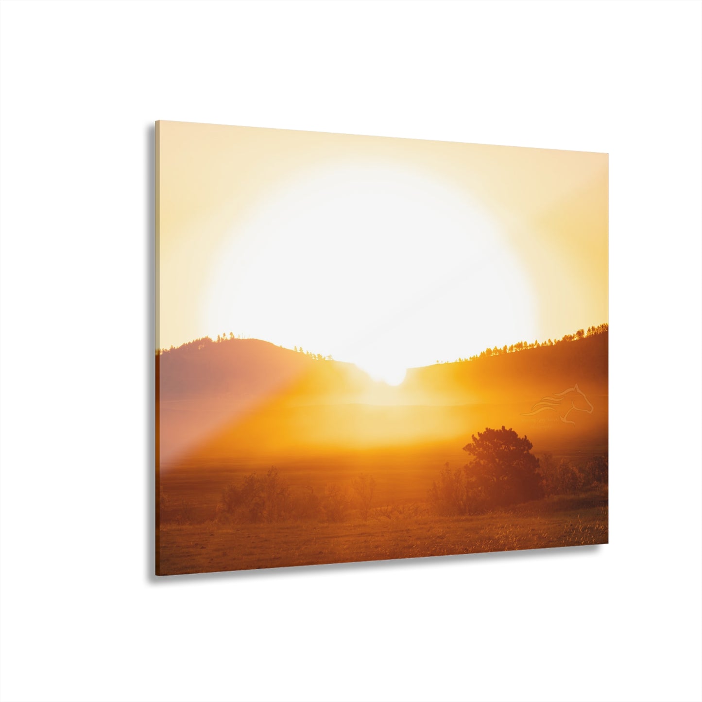 Buffalo Round Up Sunrise Acrylic