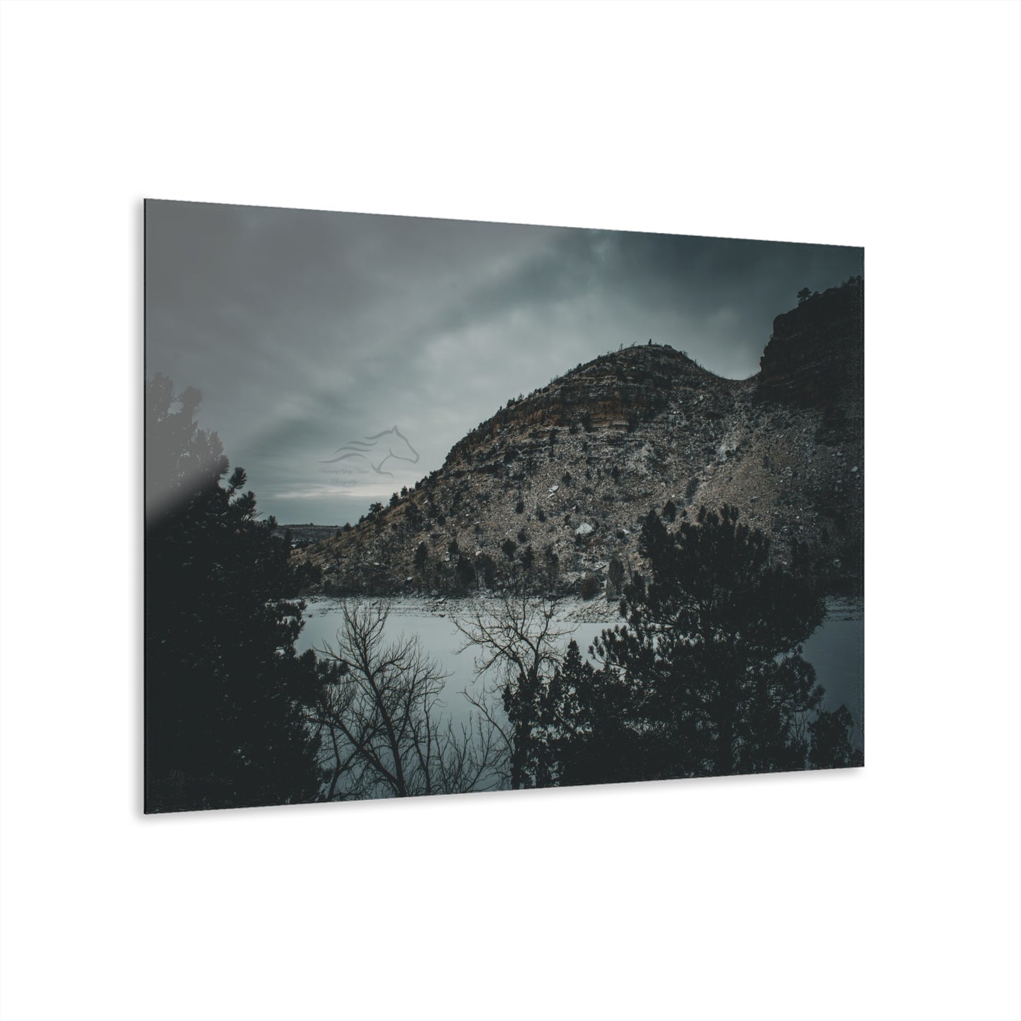 Moody Landscape Acrylic