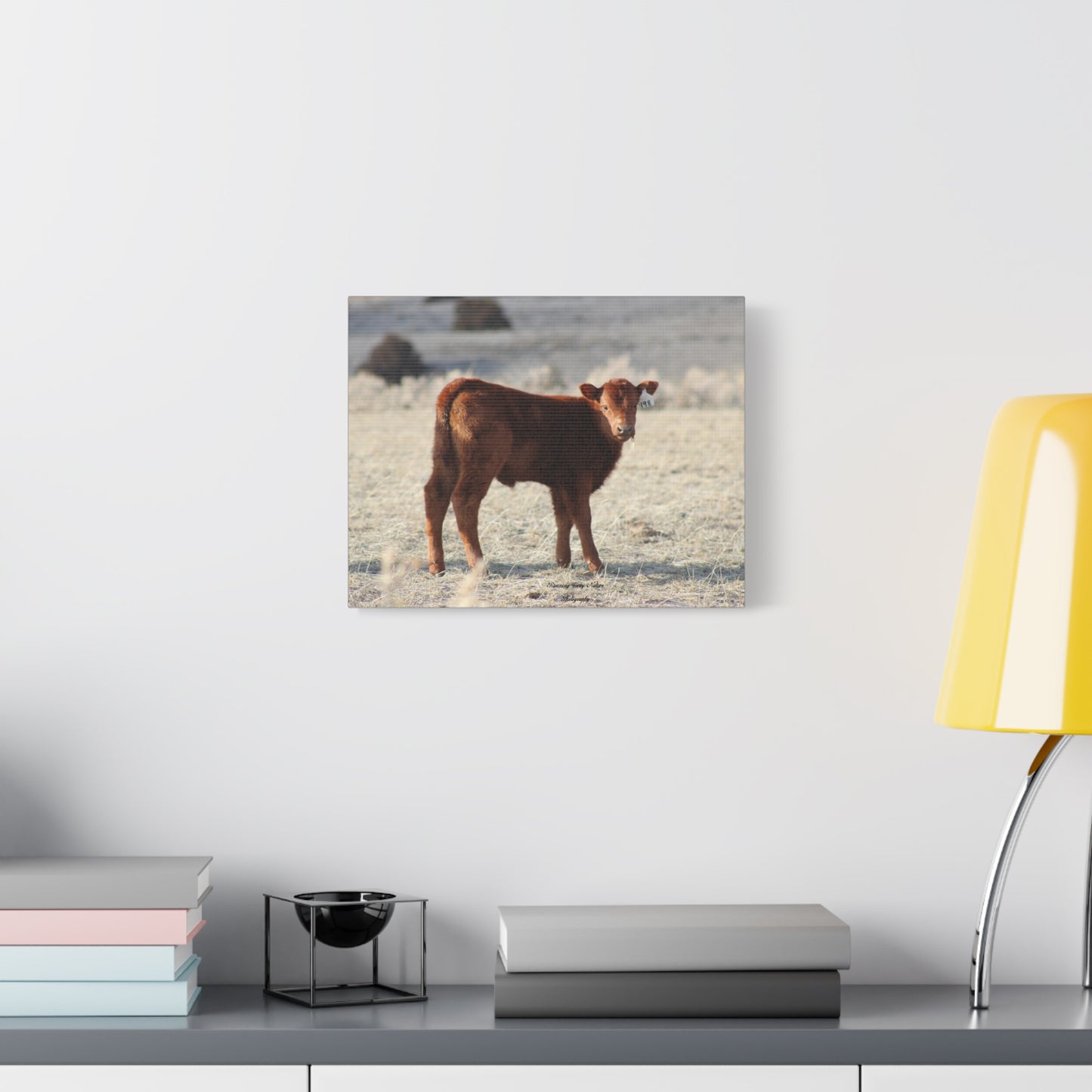 Baby Calf 198 Matte Canvas, Stretched, 1.25"