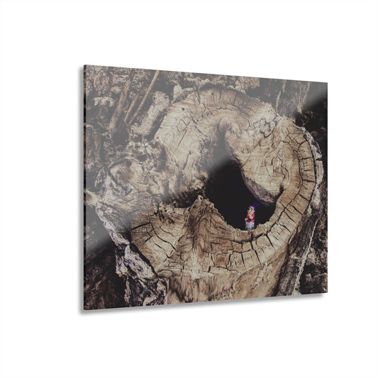 Fairy in a Tree Acrylic